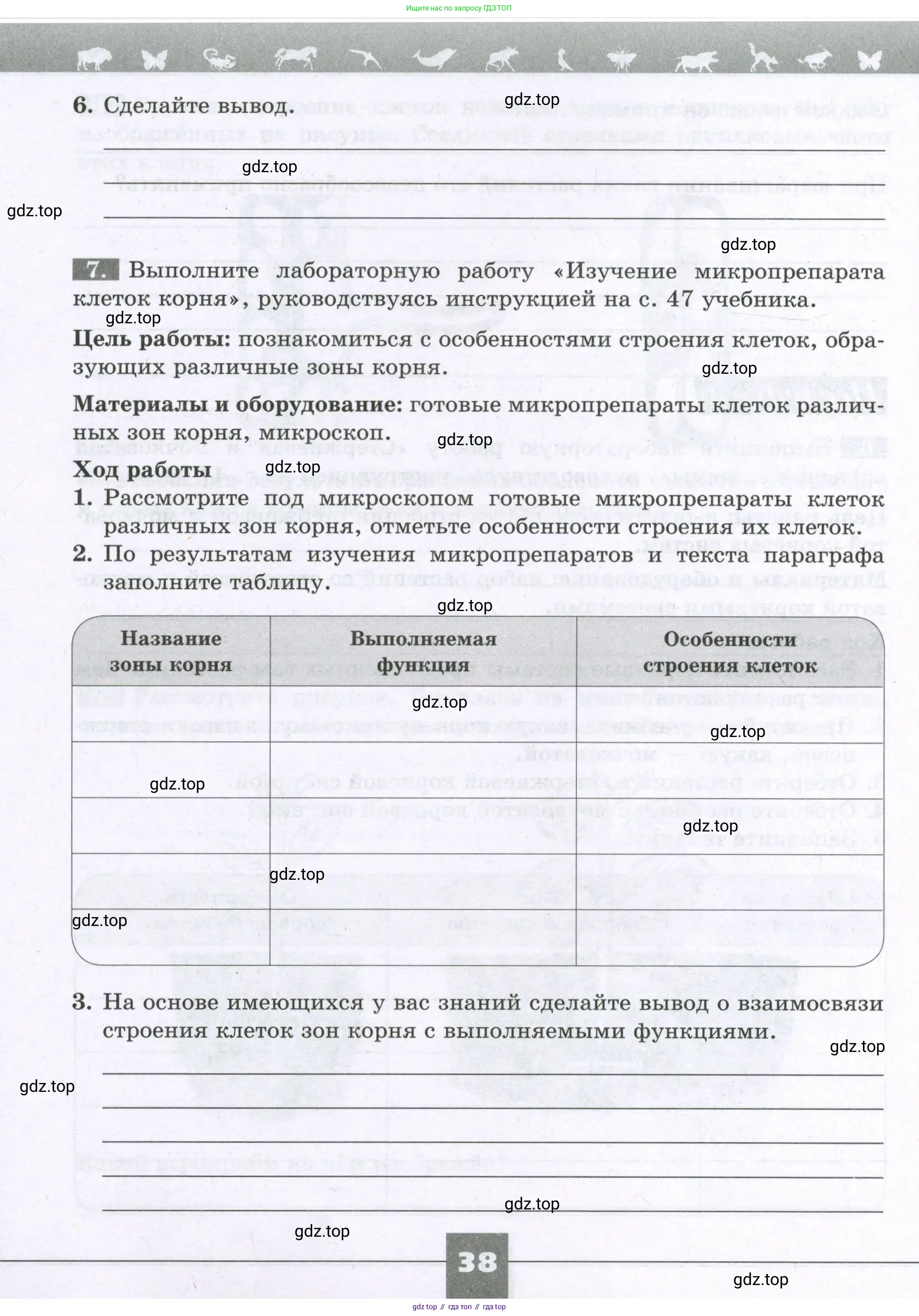 Биология, 6 класс рабочая тетрадь, авторы: Пасечник Владимир Васильевич, Суматохин Сергей Витальевич, Швецов Глеб Геннадьевич, Гапонюк Зоя Георгиевна, Косарькова Марина Викторовна, издательство Просвещение, Москва, 2023, белого цвета, страница 38