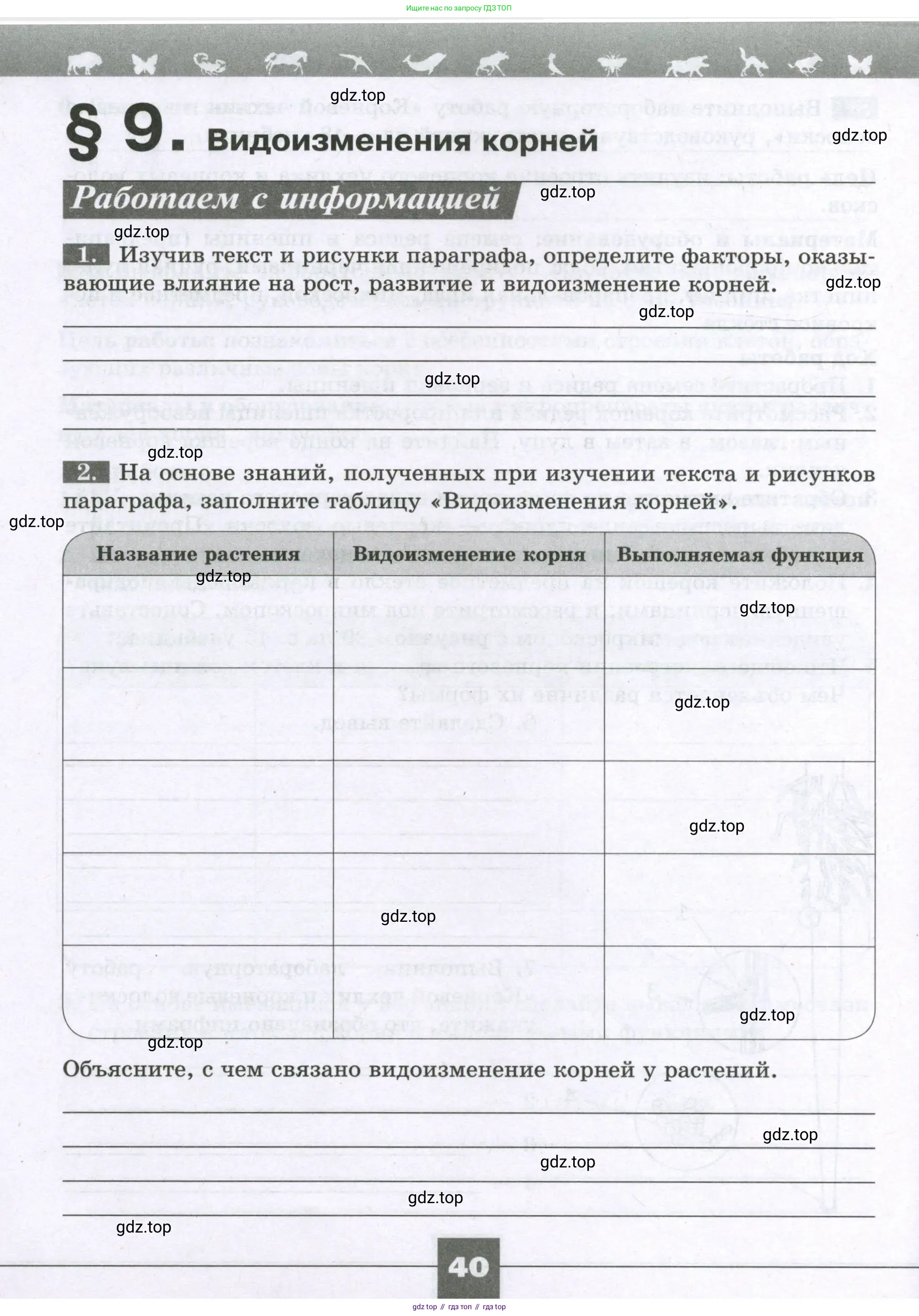 Биология, 6 класс рабочая тетрадь, авторы: Пасечник Владимир Васильевич, Суматохин Сергей Витальевич, Швецов Глеб Геннадьевич, Гапонюк Зоя Георгиевна, Косарькова Марина Викторовна, издательство Просвещение, Москва, 2023, белого цвета, страница 40