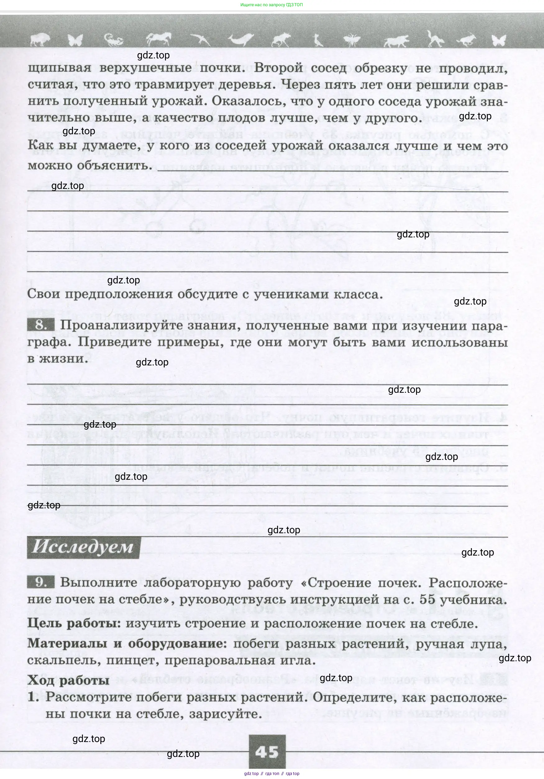 Биология, 6 класс рабочая тетрадь, авторы: Пасечник Владимир Васильевич, Суматохин Сергей Витальевич, Швецов Глеб Геннадьевич, Гапонюк Зоя Георгиевна, Косарькова Марина Викторовна, издательство Просвещение, Москва, 2023, белого цвета, страница 45
