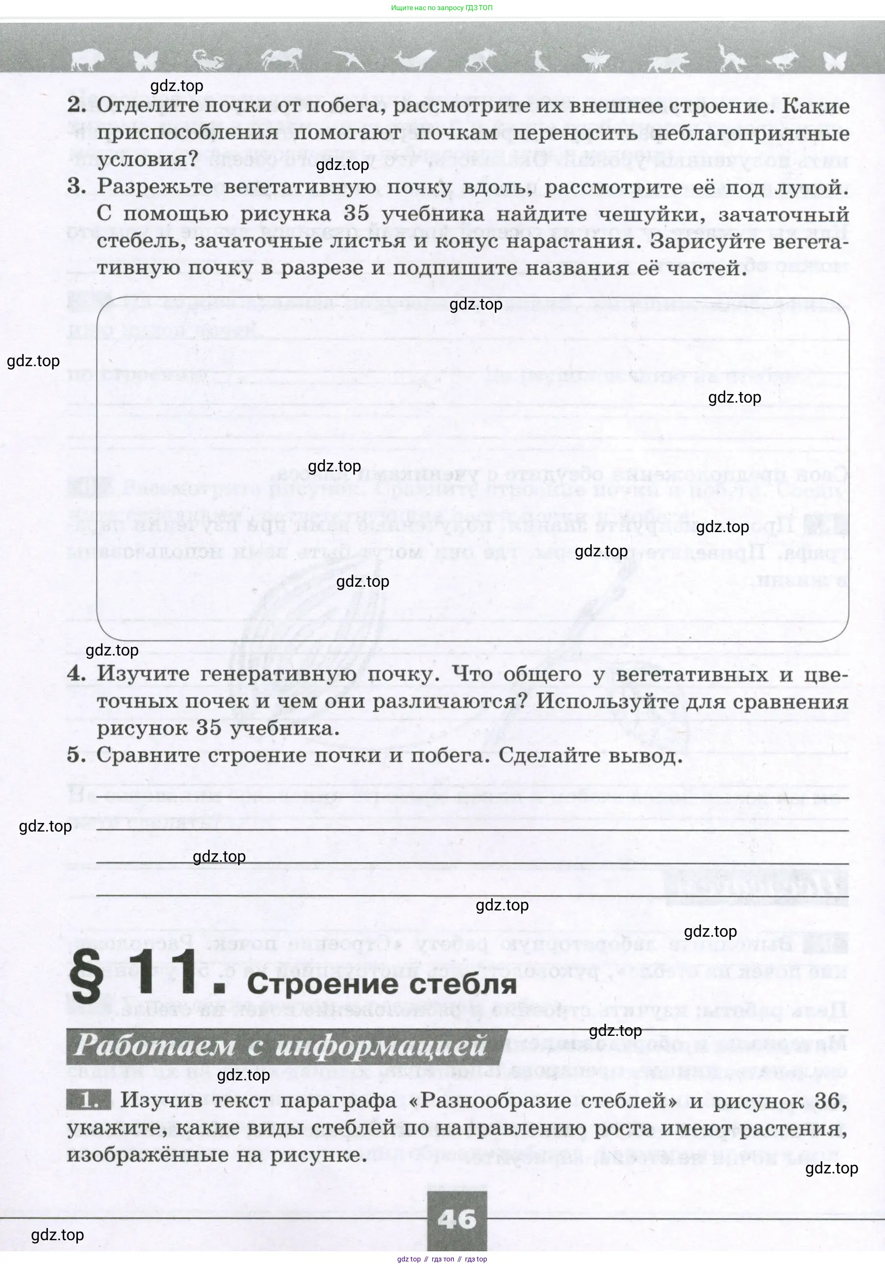 Биология, 6 класс рабочая тетрадь, авторы: Пасечник Владимир Васильевич, Суматохин Сергей Витальевич, Швецов Глеб Геннадьевич, Гапонюк Зоя Георгиевна, Косарькова Марина Викторовна, издательство Просвещение, Москва, 2023, белого цвета, страница 46