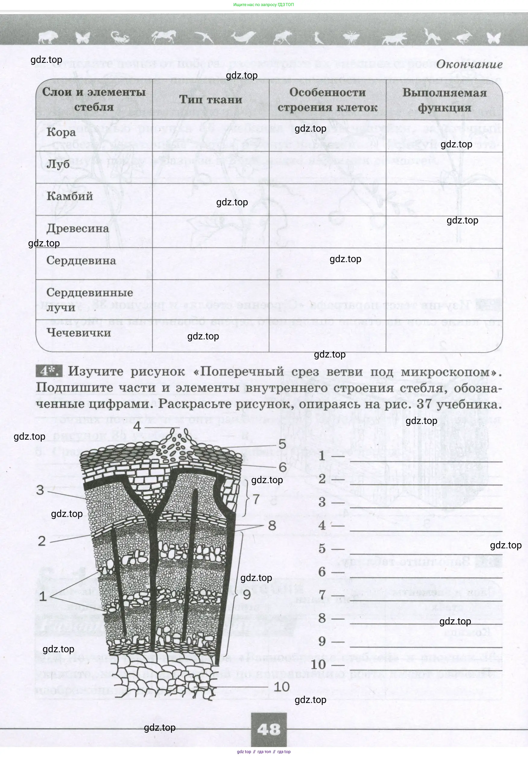 Биология, 6 класс рабочая тетрадь, авторы: Пасечник Владимир Васильевич, Суматохин Сергей Витальевич, Швецов Глеб Геннадьевич, Гапонюк Зоя Георгиевна, Косарькова Марина Викторовна, издательство Просвещение, Москва, 2023, белого цвета, страница 48