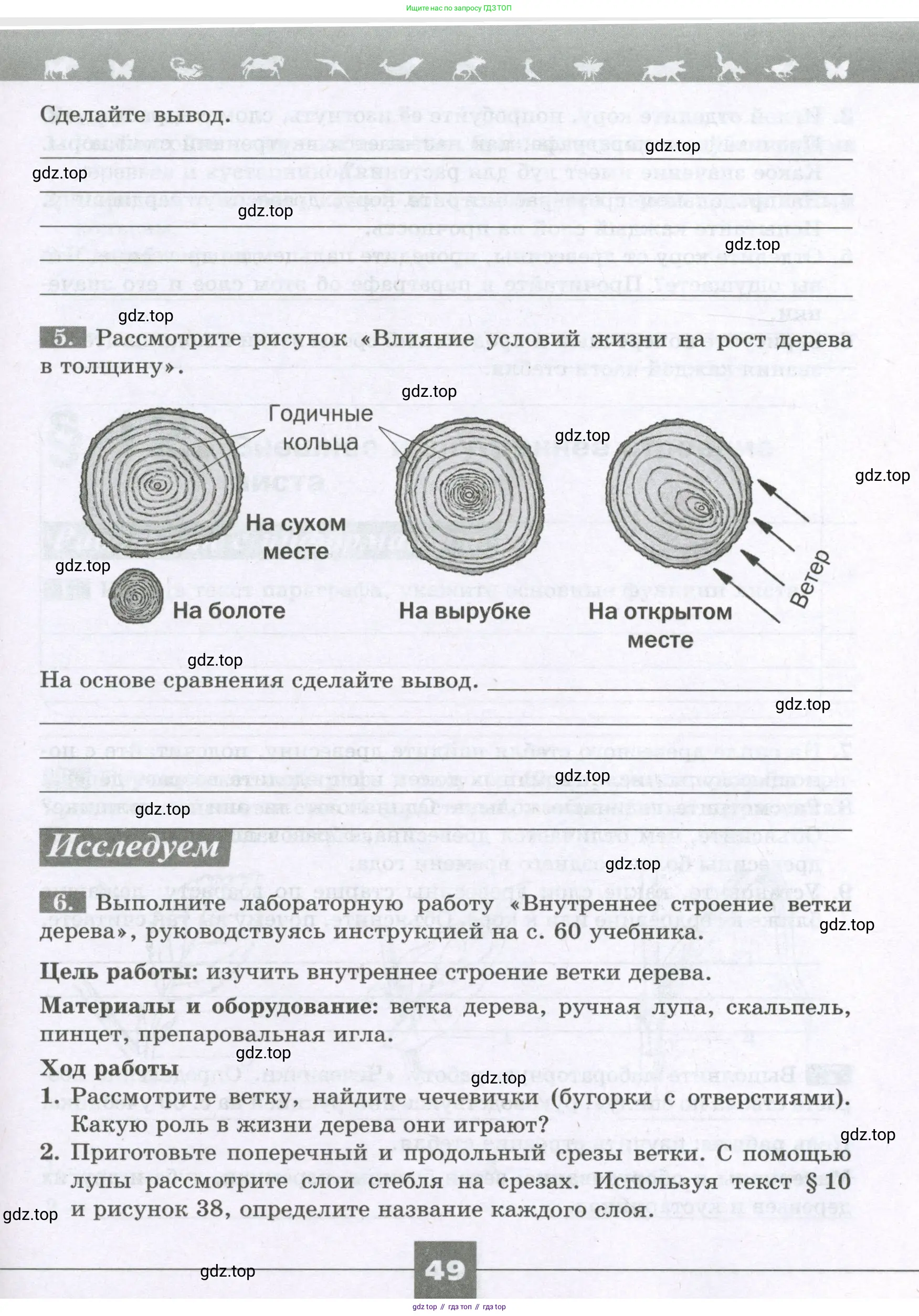 Биология, 6 класс рабочая тетрадь, авторы: Пасечник Владимир Васильевич, Суматохин Сергей Витальевич, Швецов Глеб Геннадьевич, Гапонюк Зоя Георгиевна, Косарькова Марина Викторовна, издательство Просвещение, Москва, 2023, белого цвета, страница 49