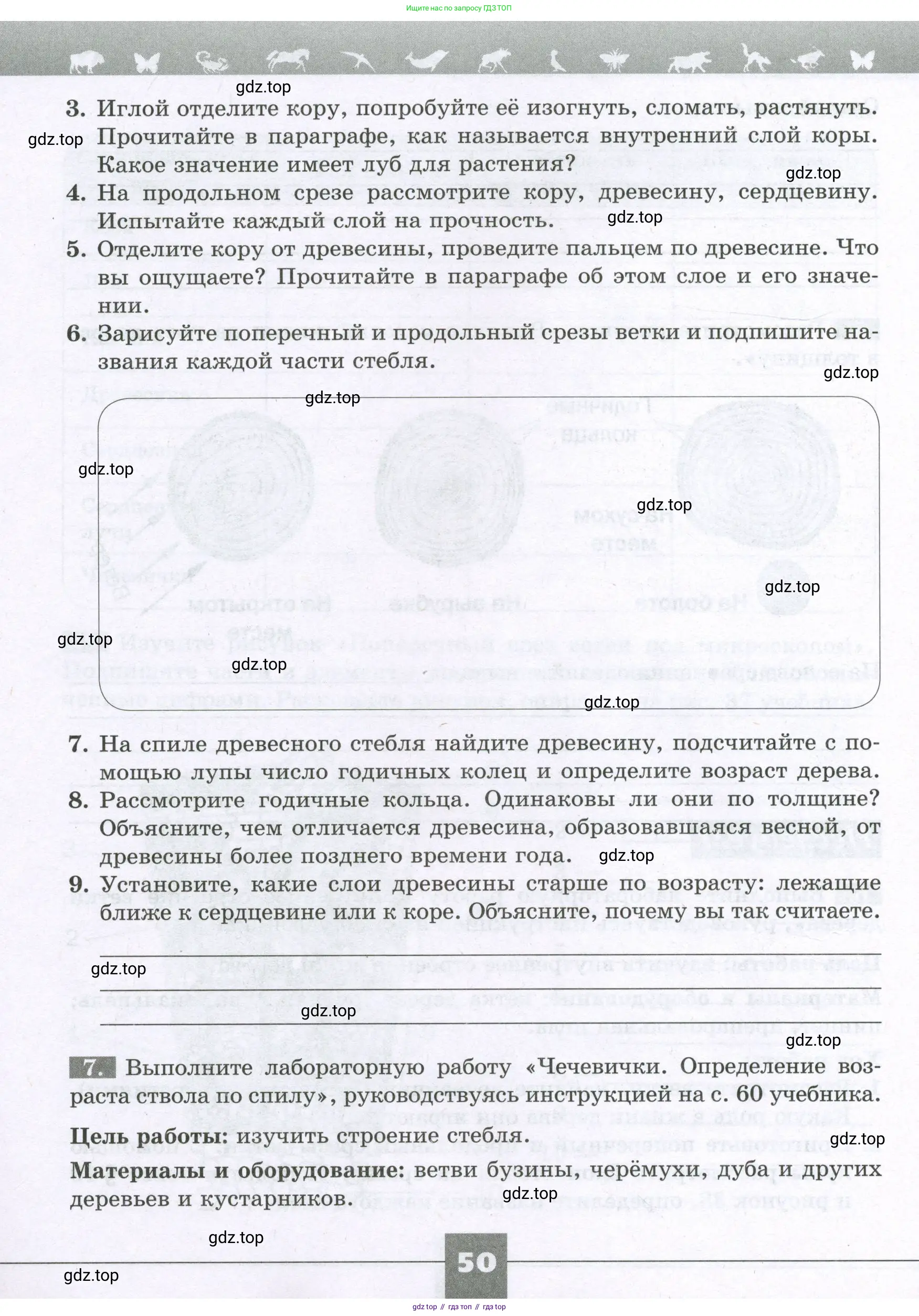 Биология, 6 класс рабочая тетрадь, авторы: Пасечник Владимир Васильевич, Суматохин Сергей Витальевич, Швецов Глеб Геннадьевич, Гапонюк Зоя Георгиевна, Косарькова Марина Викторовна, издательство Просвещение, Москва, 2023, белого цвета, страница 50