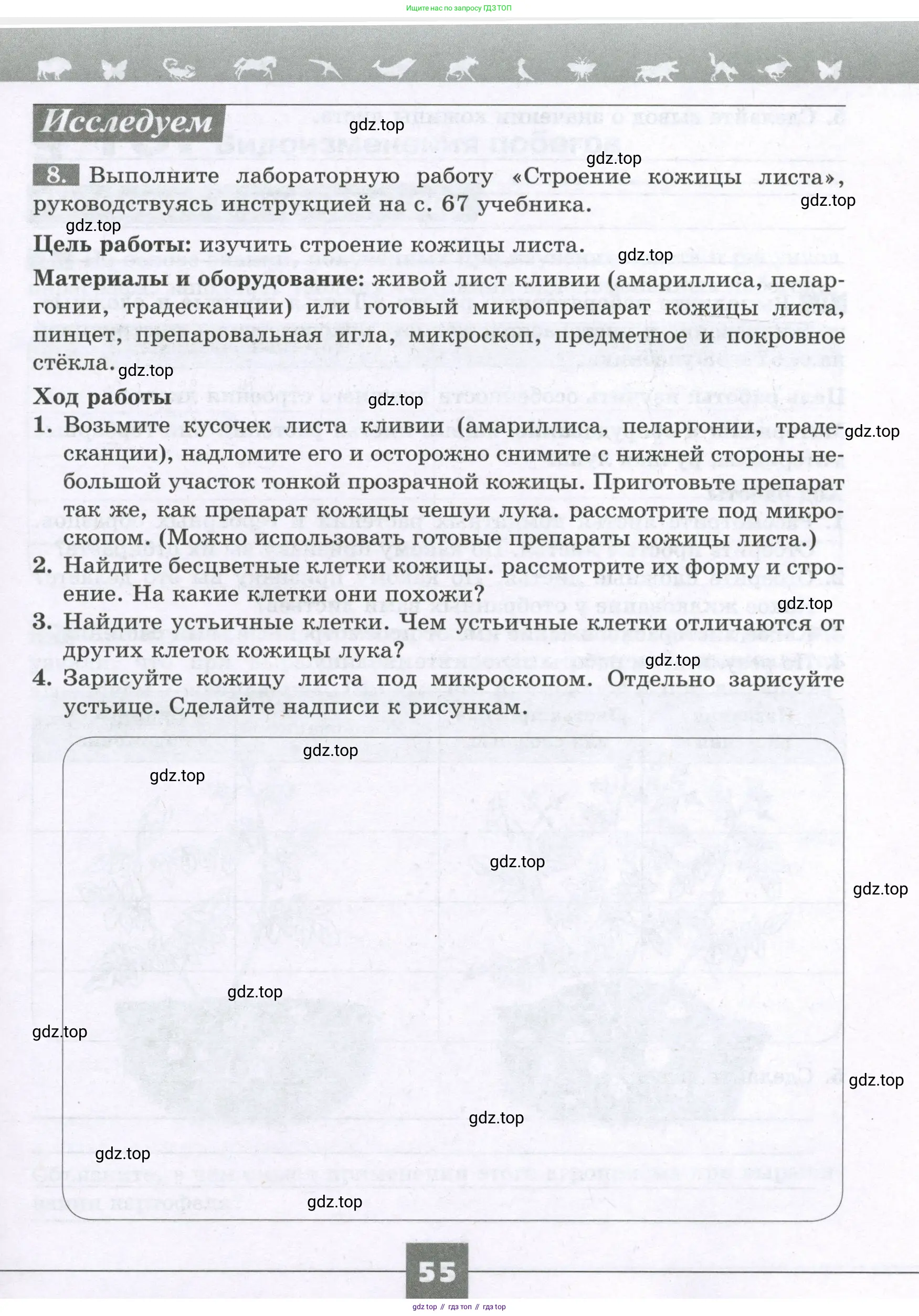 Биология, 6 класс рабочая тетрадь, авторы: Пасечник Владимир Васильевич, Суматохин Сергей Витальевич, Швецов Глеб Геннадьевич, Гапонюк Зоя Георгиевна, Косарькова Марина Викторовна, издательство Просвещение, Москва, 2023, белого цвета, страница 55