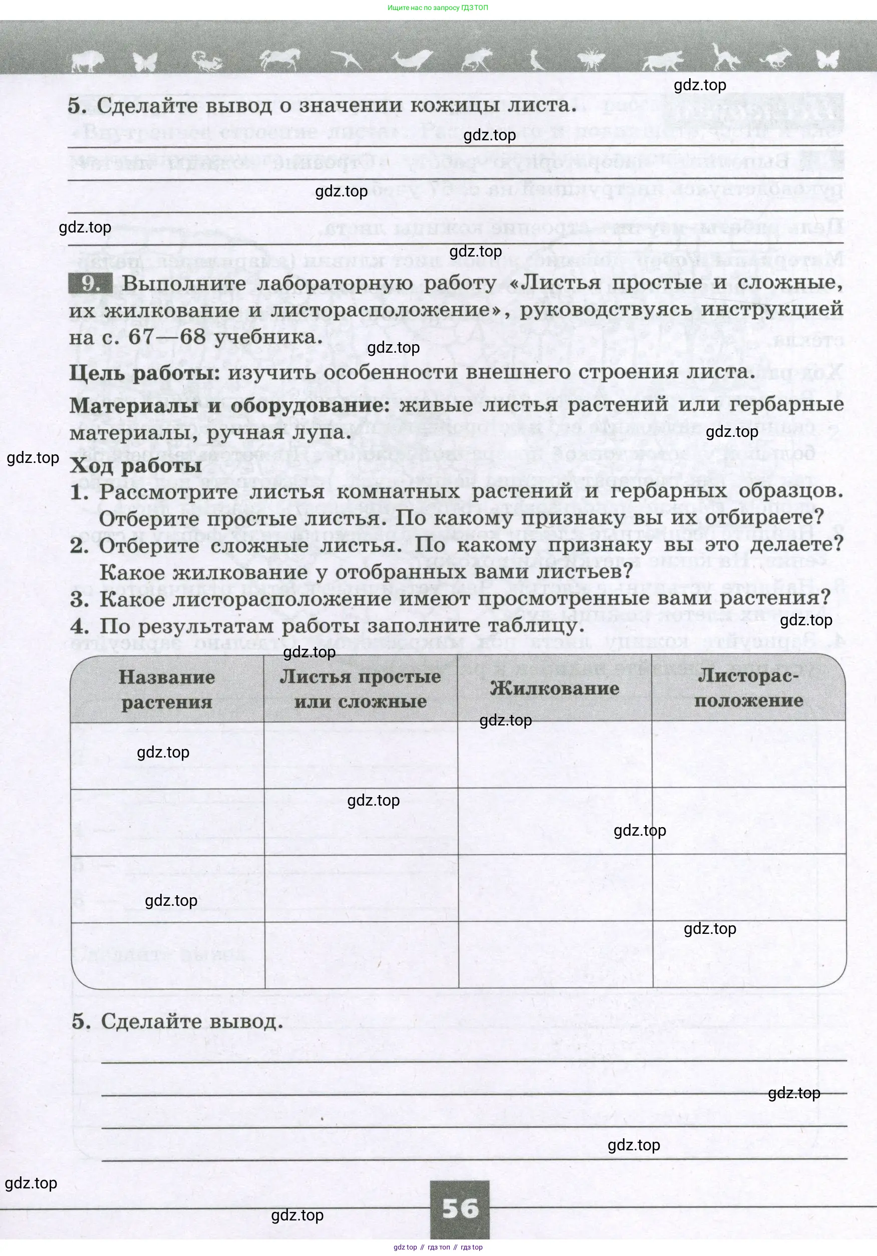 Биология, 6 класс рабочая тетрадь, авторы: Пасечник Владимир Васильевич, Суматохин Сергей Витальевич, Швецов Глеб Геннадьевич, Гапонюк Зоя Георгиевна, Косарькова Марина Викторовна, издательство Просвещение, Москва, 2023, белого цвета, страница 56