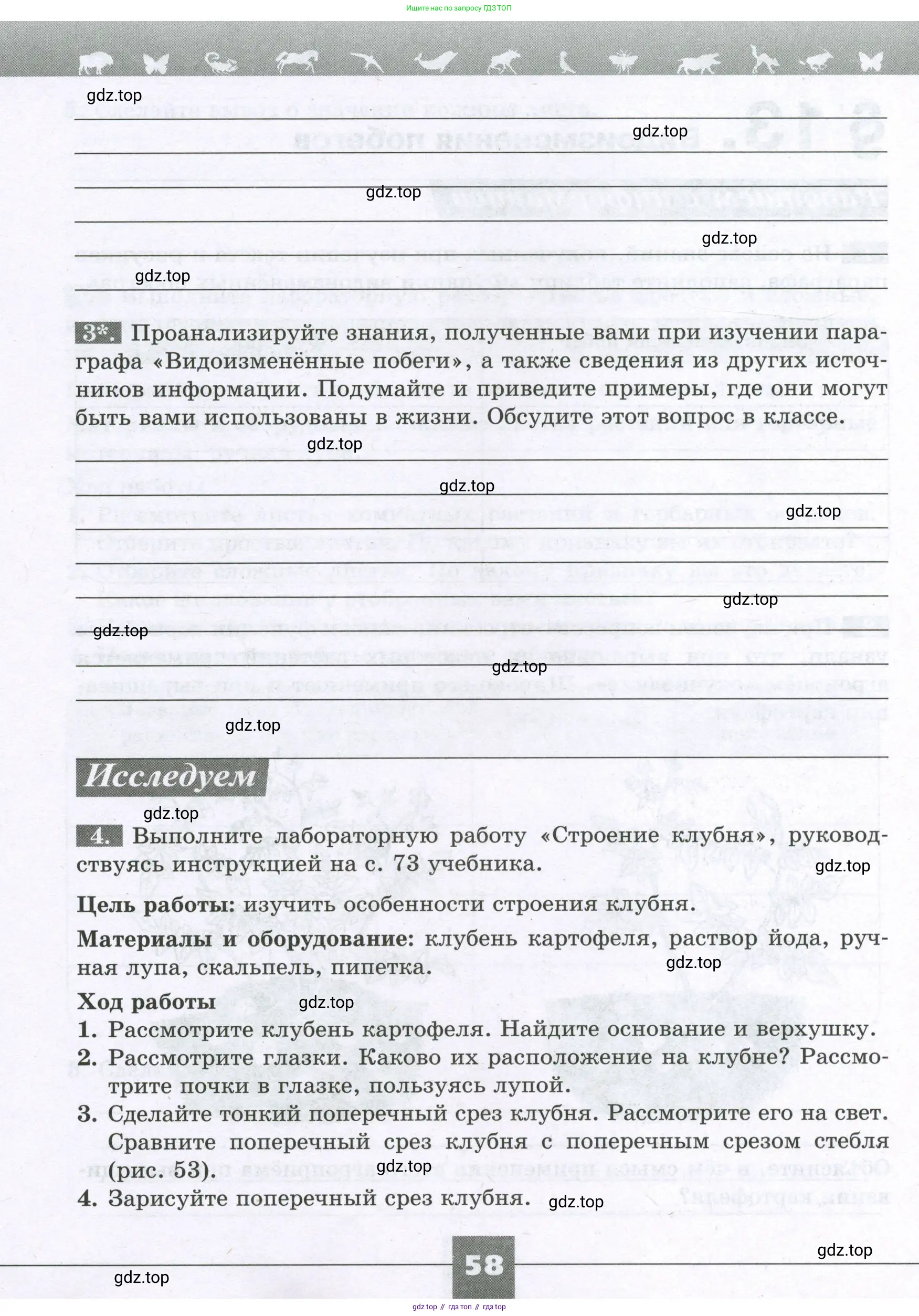 Биология, 6 класс рабочая тетрадь, авторы: Пасечник Владимир Васильевич, Суматохин Сергей Витальевич, Швецов Глеб Геннадьевич, Гапонюк Зоя Георгиевна, Косарькова Марина Викторовна, издательство Просвещение, Москва, 2023, белого цвета, страница 58