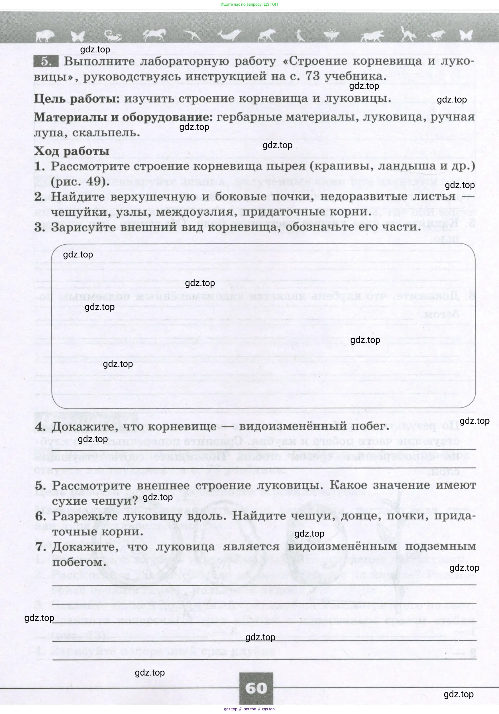 Биология, 6 класс рабочая тетрадь, авторы: Пасечник Владимир Васильевич, Суматохин Сергей Витальевич, Швецов Глеб Геннадьевич, Гапонюк Зоя Георгиевна, Косарькова Марина Викторовна, издательство Просвещение, Москва, 2023, белого цвета, страница 60