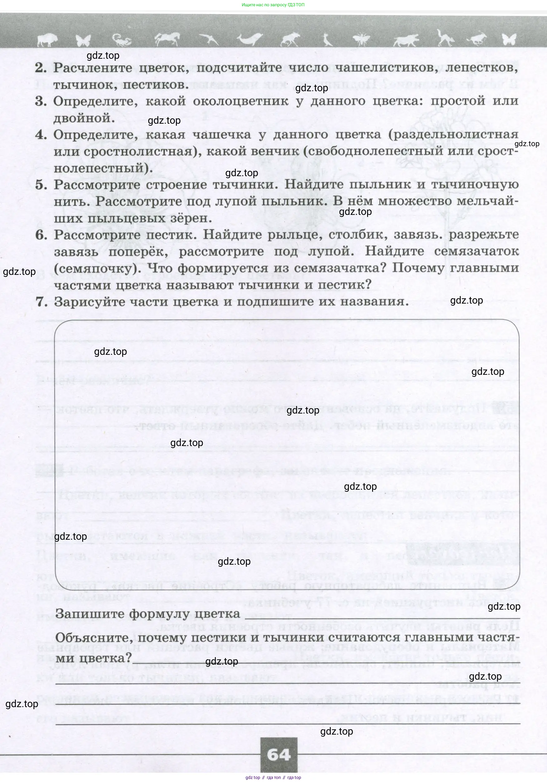 Биология, 6 класс рабочая тетрадь, авторы: Пасечник Владимир Васильевич, Суматохин Сергей Витальевич, Швецов Глеб Геннадьевич, Гапонюк Зоя Георгиевна, Косарькова Марина Викторовна, издательство Просвещение, Москва, 2023, белого цвета, страница 64