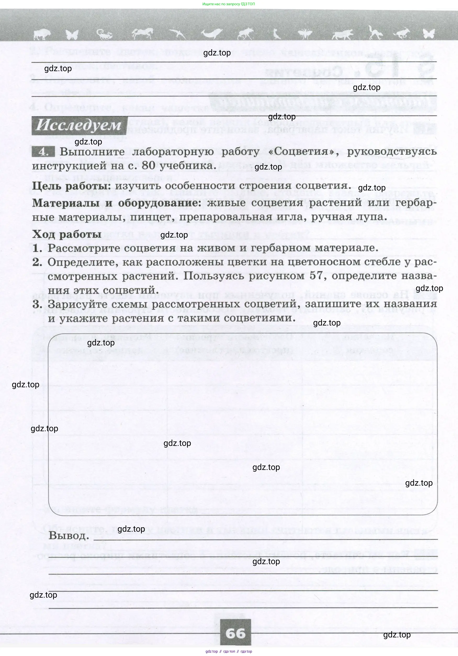 Биология, 6 класс рабочая тетрадь, авторы: Пасечник Владимир Васильевич, Суматохин Сергей Витальевич, Швецов Глеб Геннадьевич, Гапонюк Зоя Георгиевна, Косарькова Марина Викторовна, издательство Просвещение, Москва, 2023, белого цвета, страница 66