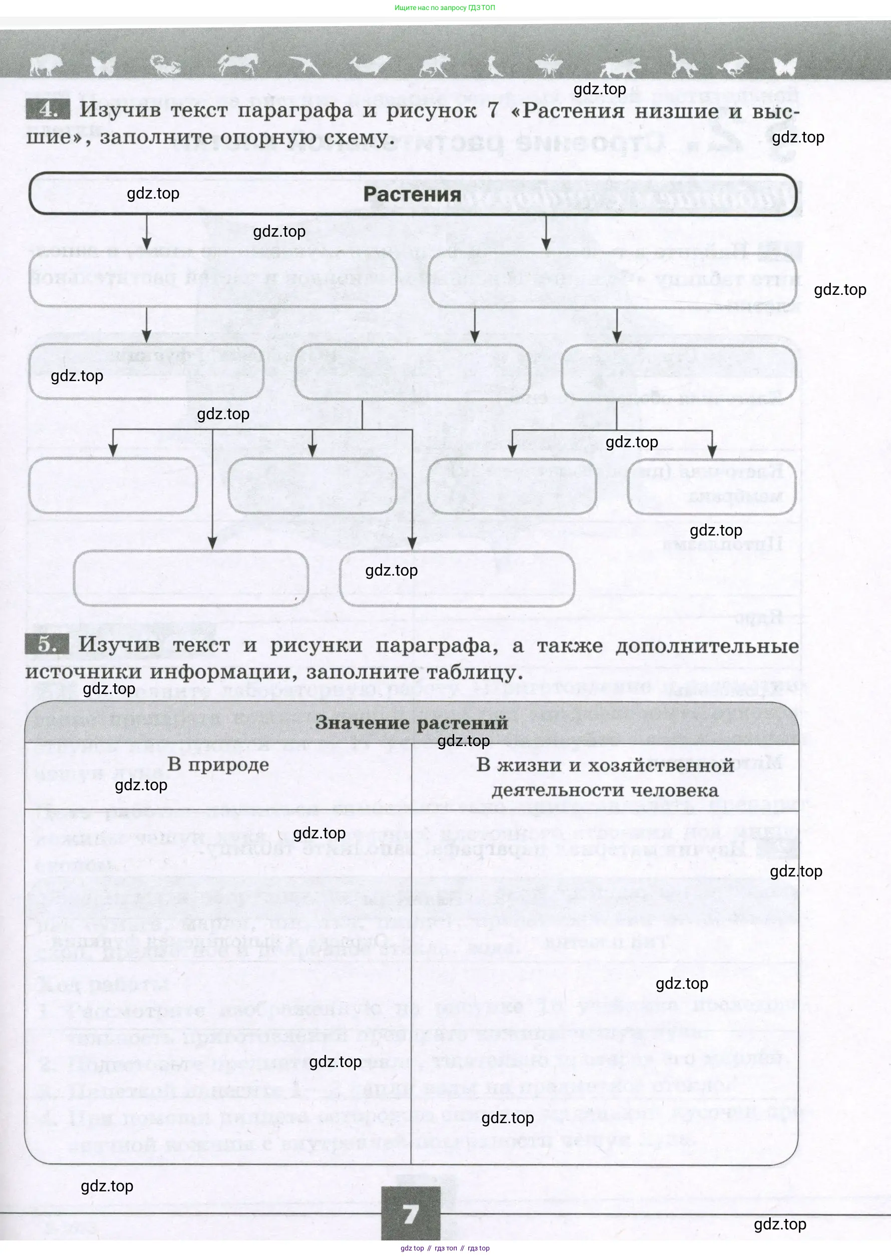 Биология, 6 класс рабочая тетрадь, авторы: Пасечник Владимир Васильевич, Суматохин Сергей Витальевич, Швецов Глеб Геннадьевич, Гапонюк Зоя Георгиевна, Косарькова Марина Викторовна, издательство Просвещение, Москва, 2023, белого цвета, страница 7