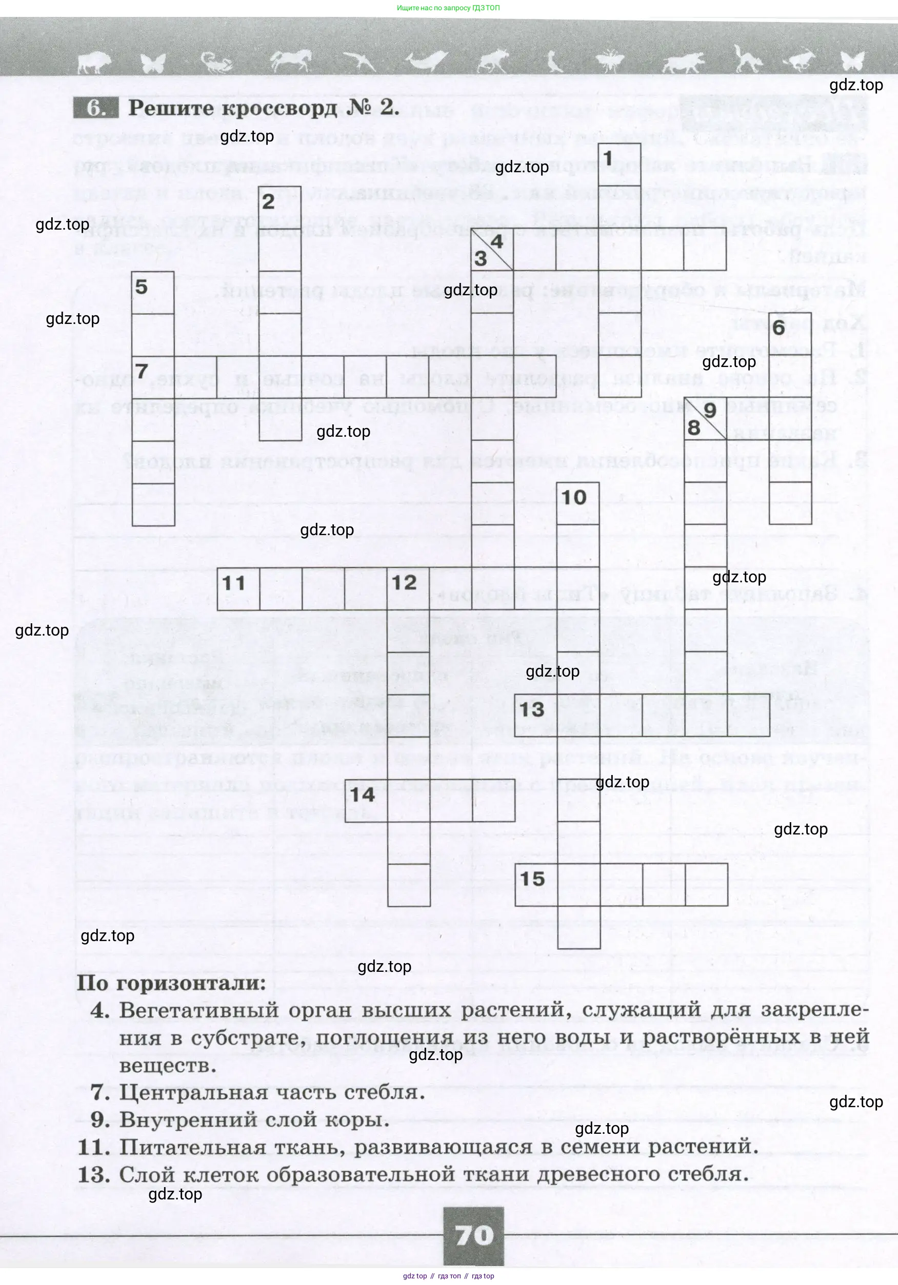 Биология, 6 класс рабочая тетрадь, авторы: Пасечник Владимир Васильевич, Суматохин Сергей Витальевич, Швецов Глеб Геннадьевич, Гапонюк Зоя Георгиевна, Косарькова Марина Викторовна, издательство Просвещение, Москва, 2023, белого цвета, страница 70