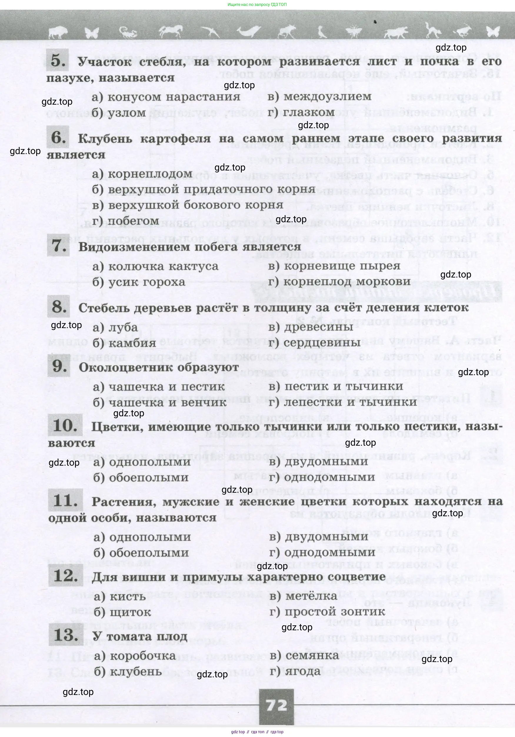 Биология, 6 класс рабочая тетрадь, авторы: Пасечник Владимир Васильевич, Суматохин Сергей Витальевич, Швецов Глеб Геннадьевич, Гапонюк Зоя Георгиевна, Косарькова Марина Викторовна, издательство Просвещение, Москва, 2023, белого цвета, страница 72