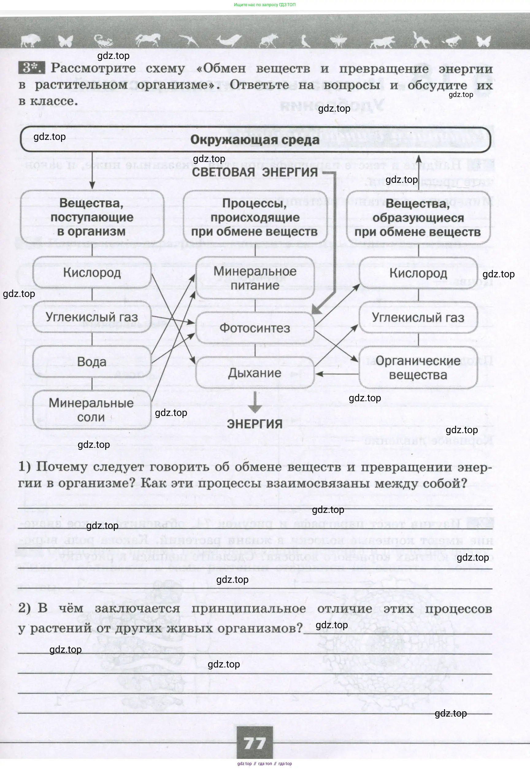 Биология, 6 класс рабочая тетрадь, авторы: Пасечник Владимир Васильевич, Суматохин Сергей Витальевич, Швецов Глеб Геннадьевич, Гапонюк Зоя Георгиевна, Косарькова Марина Викторовна, издательство Просвещение, Москва, 2023, белого цвета, страница 77
