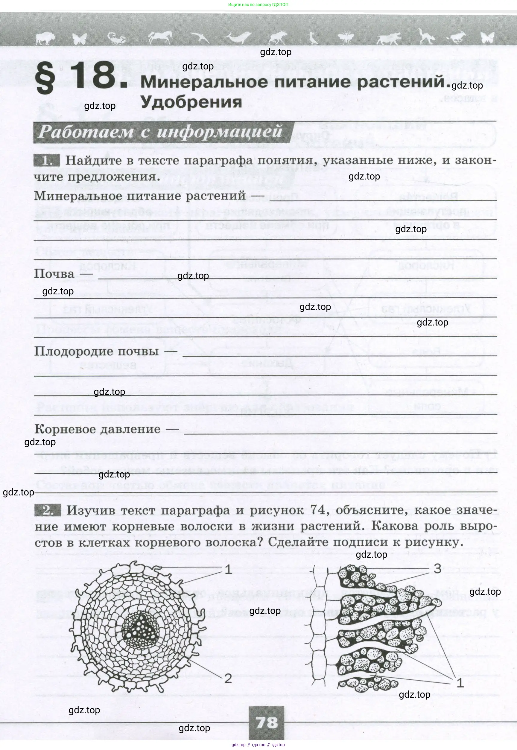 Биология, 6 класс рабочая тетрадь, авторы: Пасечник Владимир Васильевич, Суматохин Сергей Витальевич, Швецов Глеб Геннадьевич, Гапонюк Зоя Георгиевна, Косарькова Марина Викторовна, издательство Просвещение, Москва, 2023, белого цвета, страница 78