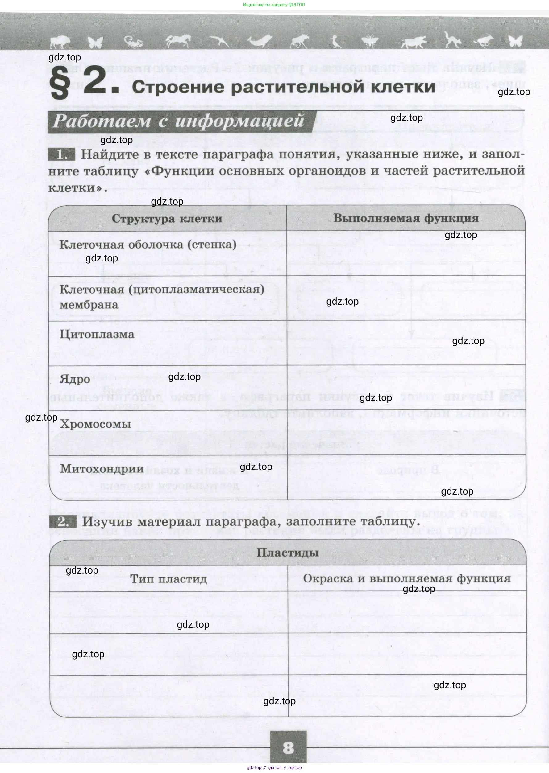 Биология, 6 класс рабочая тетрадь, авторы: Пасечник Владимир Васильевич, Суматохин Сергей Витальевич, Швецов Глеб Геннадьевич, Гапонюк Зоя Георгиевна, Косарькова Марина Викторовна, издательство Просвещение, Москва, 2023, белого цвета, страница 8