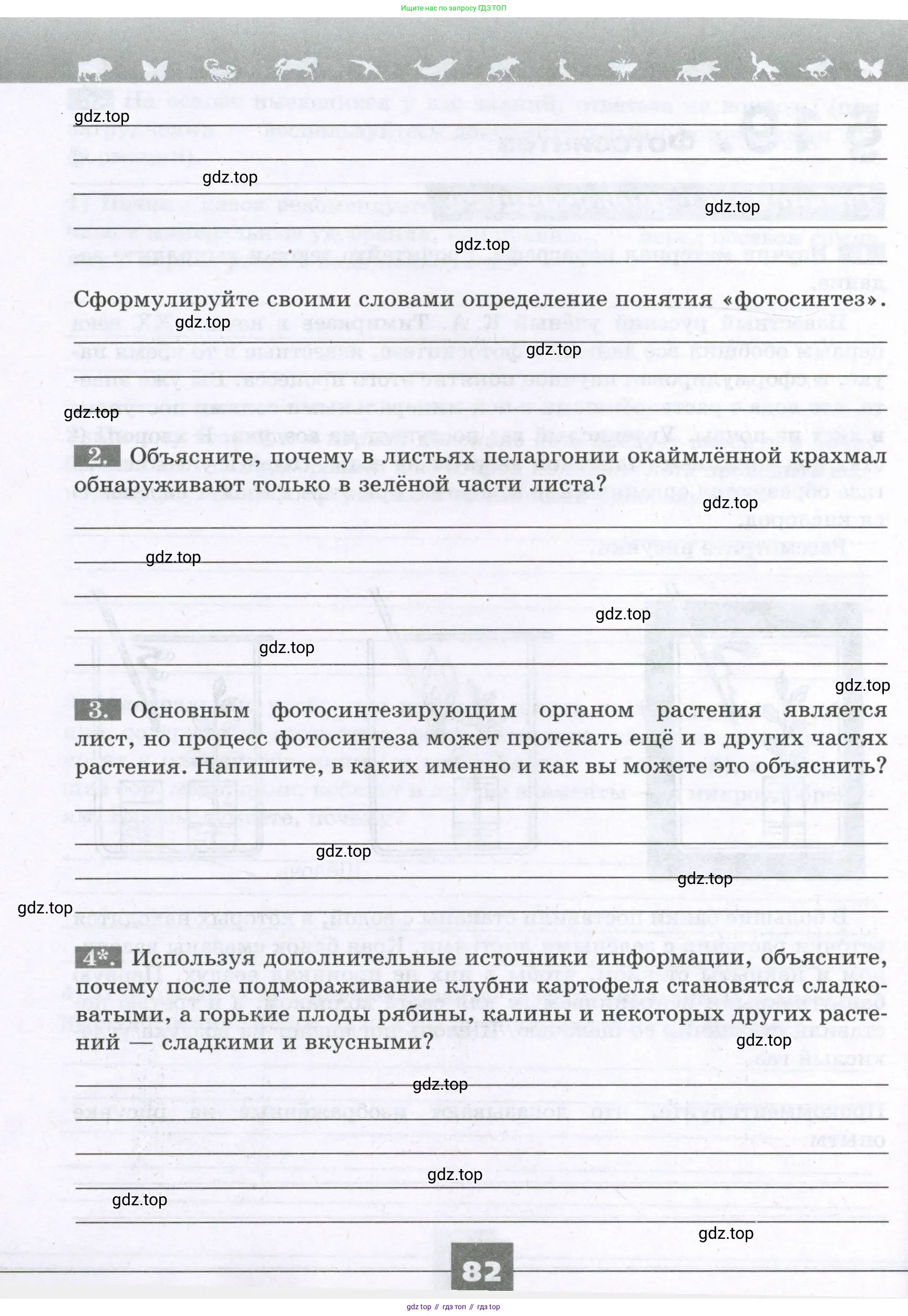 Биология, 6 класс рабочая тетрадь, авторы: Пасечник Владимир Васильевич, Суматохин Сергей Витальевич, Швецов Глеб Геннадьевич, Гапонюк Зоя Георгиевна, Косарькова Марина Викторовна, издательство Просвещение, Москва, 2023, белого цвета, страница 82