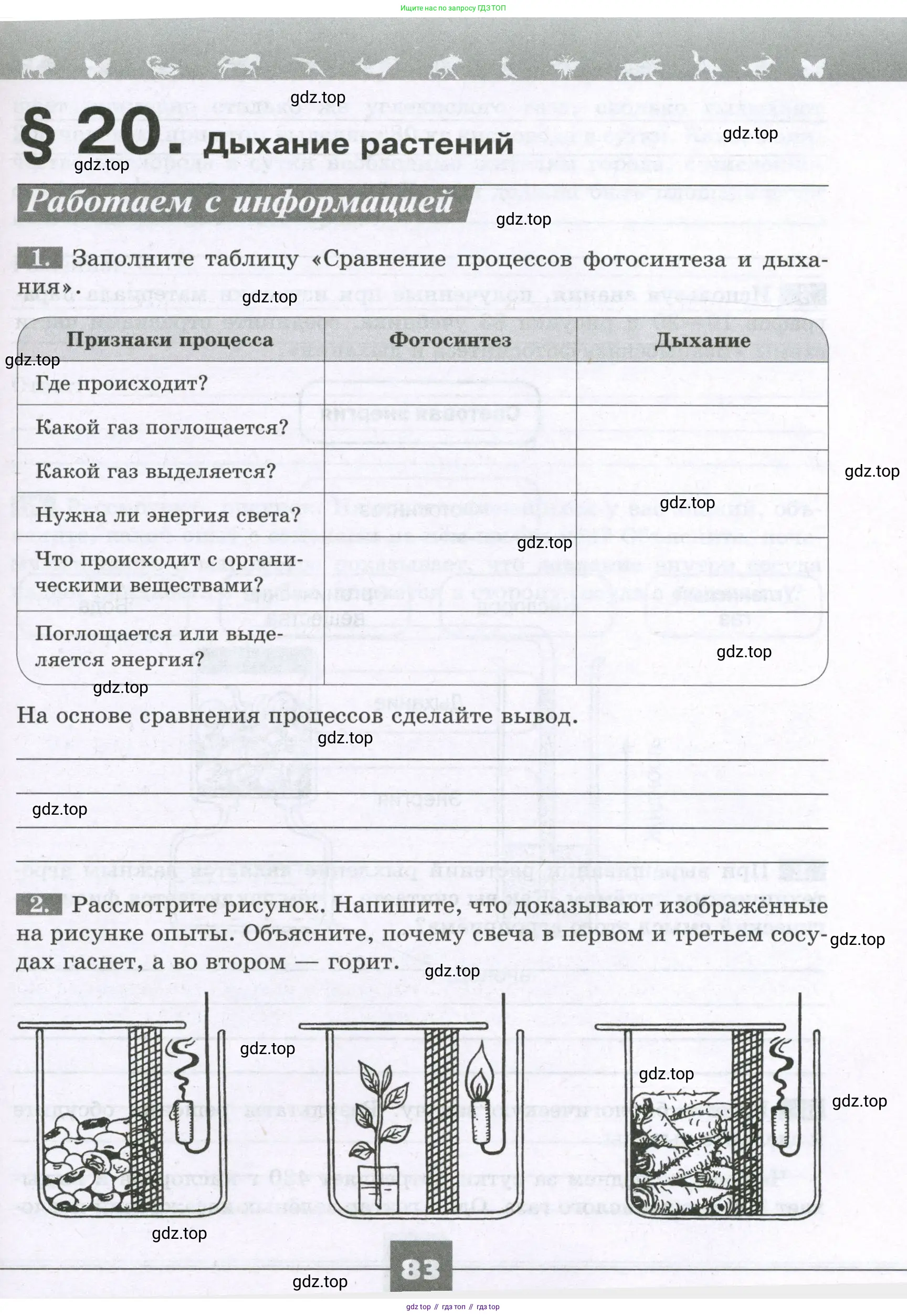 Биология, 6 класс рабочая тетрадь, авторы: Пасечник Владимир Васильевич, Суматохин Сергей Витальевич, Швецов Глеб Геннадьевич, Гапонюк Зоя Георгиевна, Косарькова Марина Викторовна, издательство Просвещение, Москва, 2023, белого цвета, страница 83