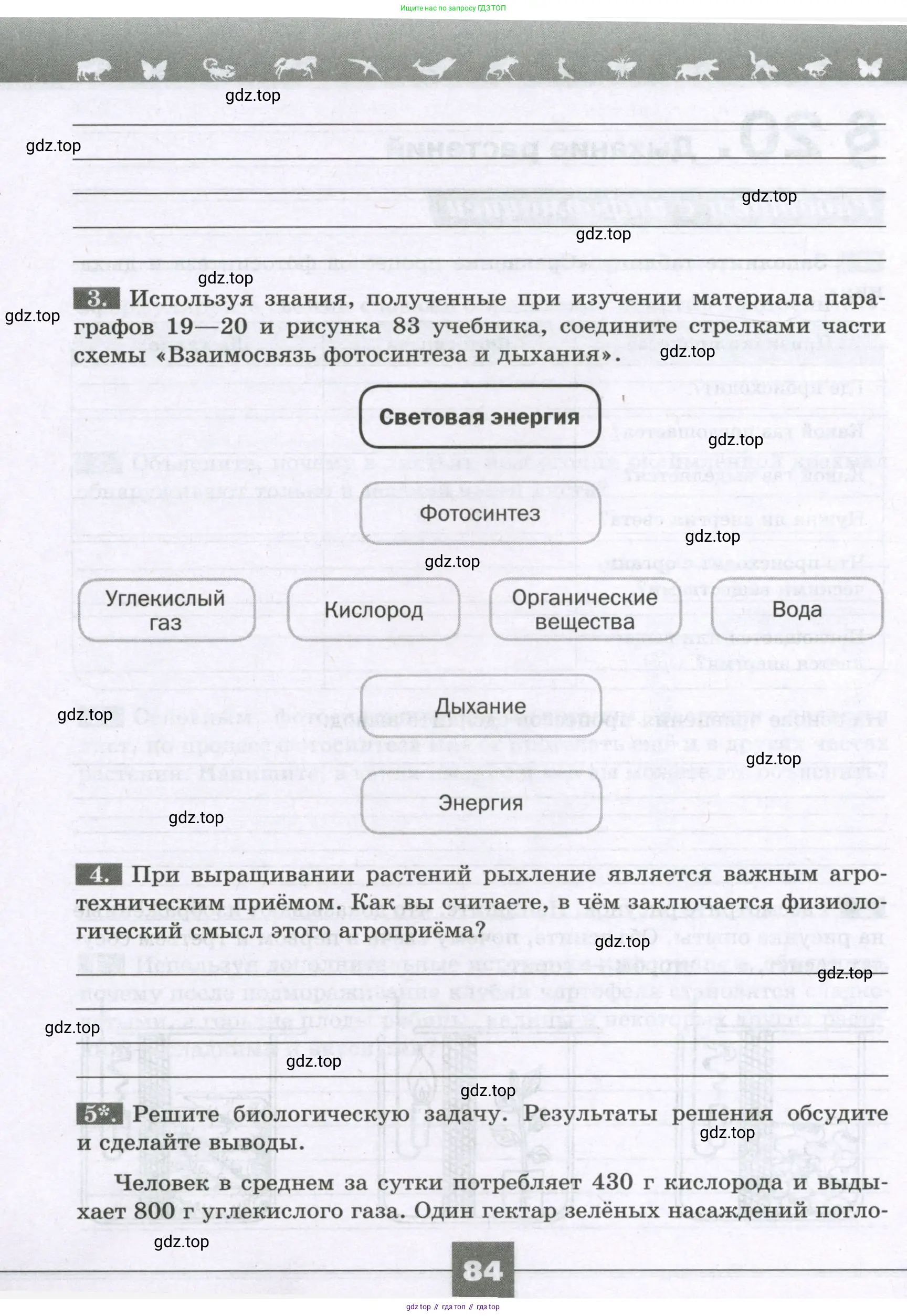 Биология, 6 класс рабочая тетрадь, авторы: Пасечник Владимир Васильевич, Суматохин Сергей Витальевич, Швецов Глеб Геннадьевич, Гапонюк Зоя Георгиевна, Косарькова Марина Викторовна, издательство Просвещение, Москва, 2023, белого цвета, страница 84