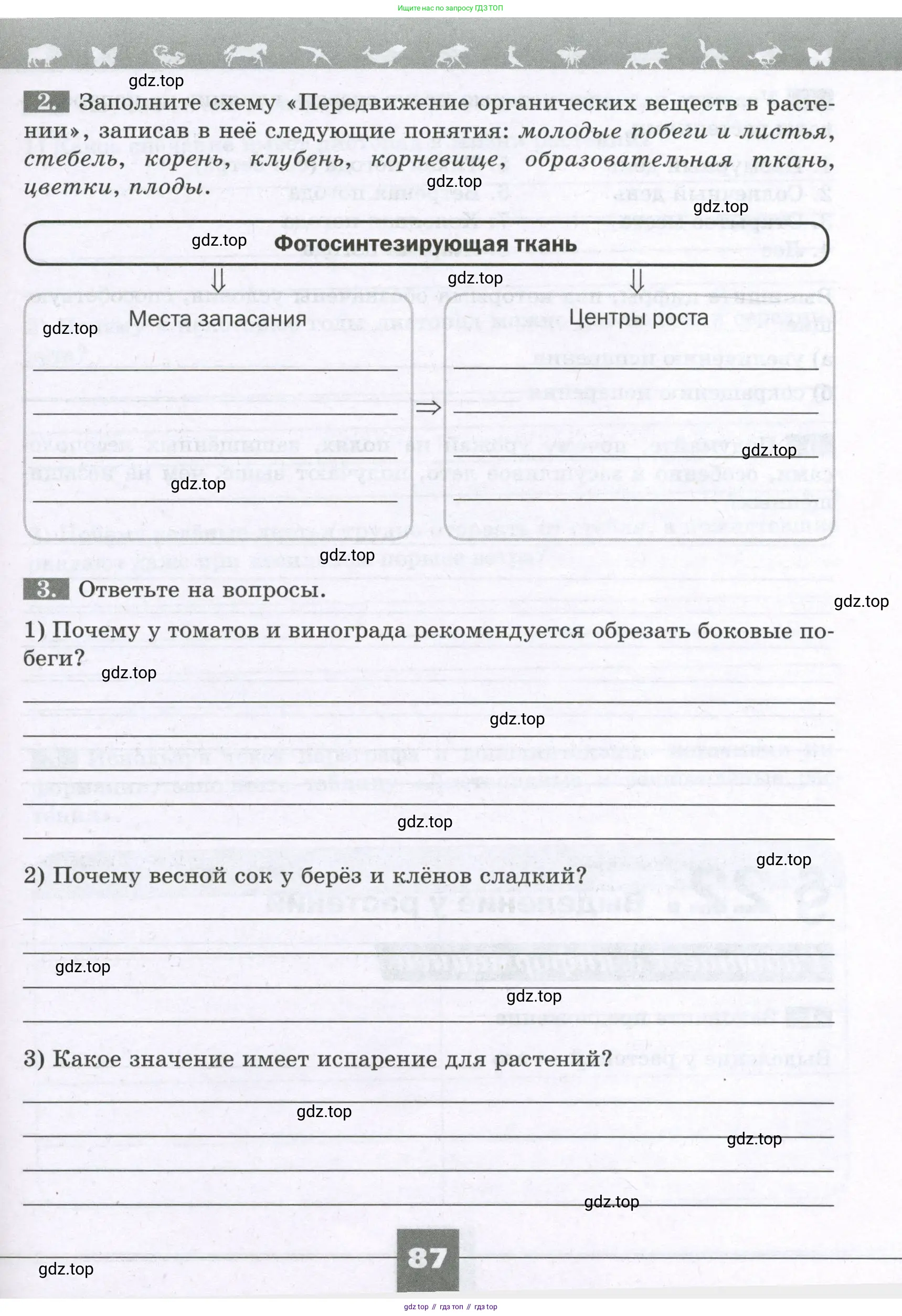 Биология, 6 класс рабочая тетрадь, авторы: Пасечник Владимир Васильевич, Суматохин Сергей Витальевич, Швецов Глеб Геннадьевич, Гапонюк Зоя Георгиевна, Косарькова Марина Викторовна, издательство Просвещение, Москва, 2023, белого цвета, страница 87