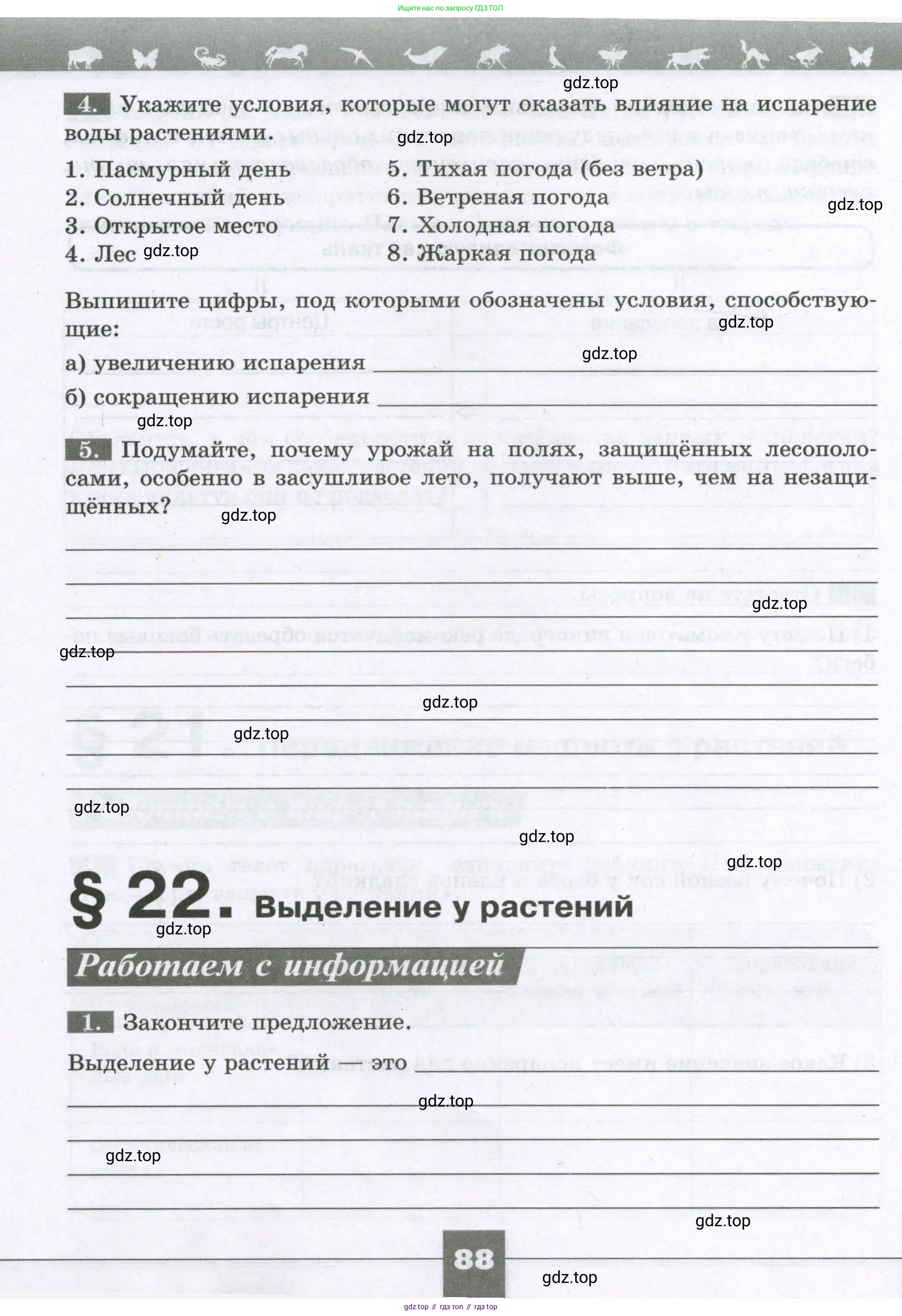Биология, 6 класс рабочая тетрадь, авторы: Пасечник Владимир Васильевич, Суматохин Сергей Витальевич, Швецов Глеб Геннадьевич, Гапонюк Зоя Георгиевна, Косарькова Марина Викторовна, издательство Просвещение, Москва, 2023, белого цвета, страница 88