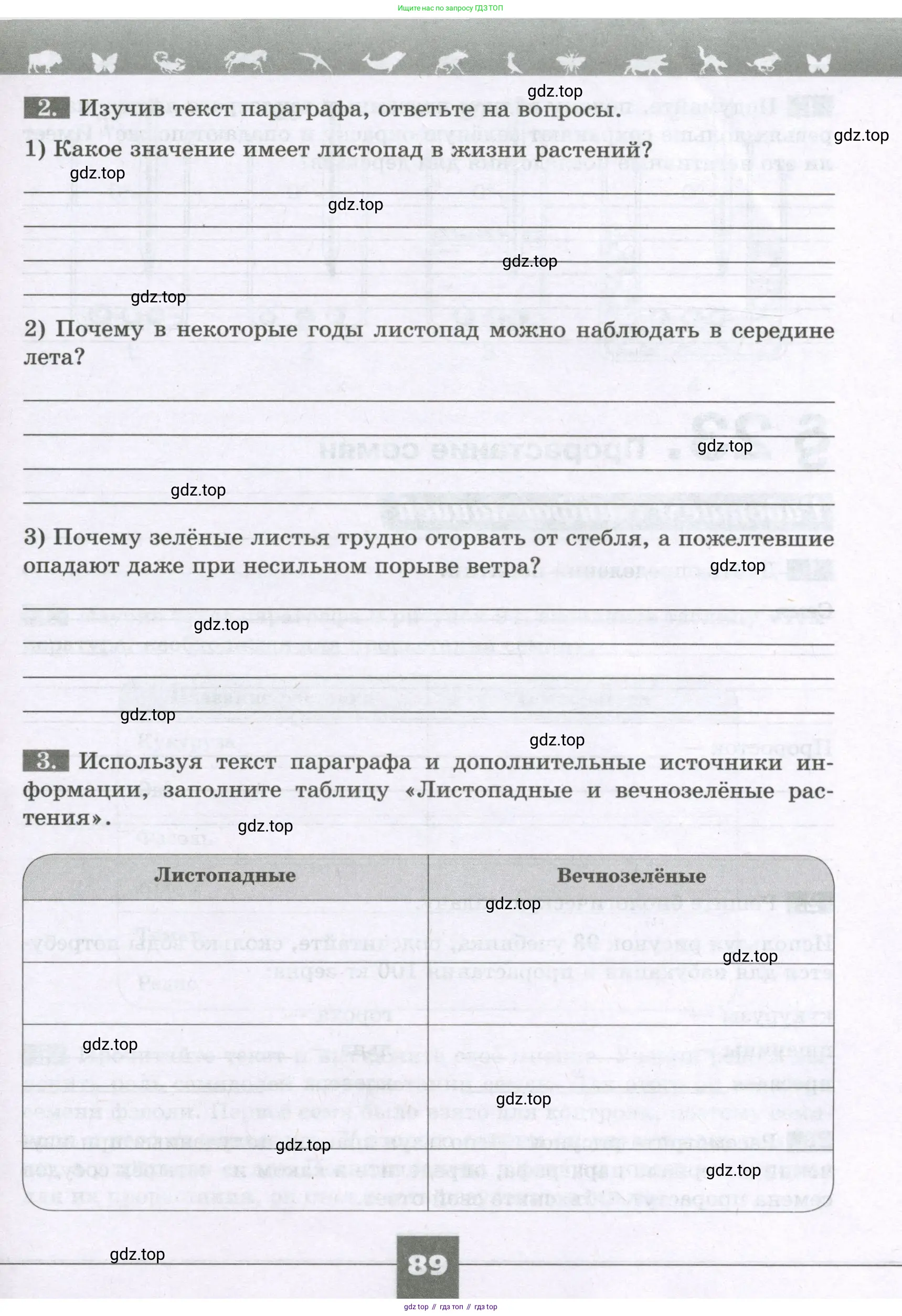 Биология, 6 класс рабочая тетрадь, авторы: Пасечник Владимир Васильевич, Суматохин Сергей Витальевич, Швецов Глеб Геннадьевич, Гапонюк Зоя Георгиевна, Косарькова Марина Викторовна, издательство Просвещение, Москва, 2023, белого цвета, страница 89