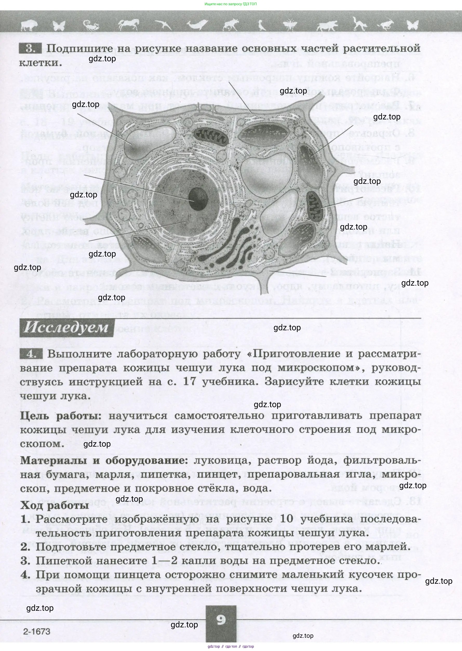 Биология, 6 класс рабочая тетрадь, авторы: Пасечник Владимир Васильевич, Суматохин Сергей Витальевич, Швецов Глеб Геннадьевич, Гапонюк Зоя Георгиевна, Косарькова Марина Викторовна, издательство Просвещение, Москва, 2023, белого цвета, страница 9
