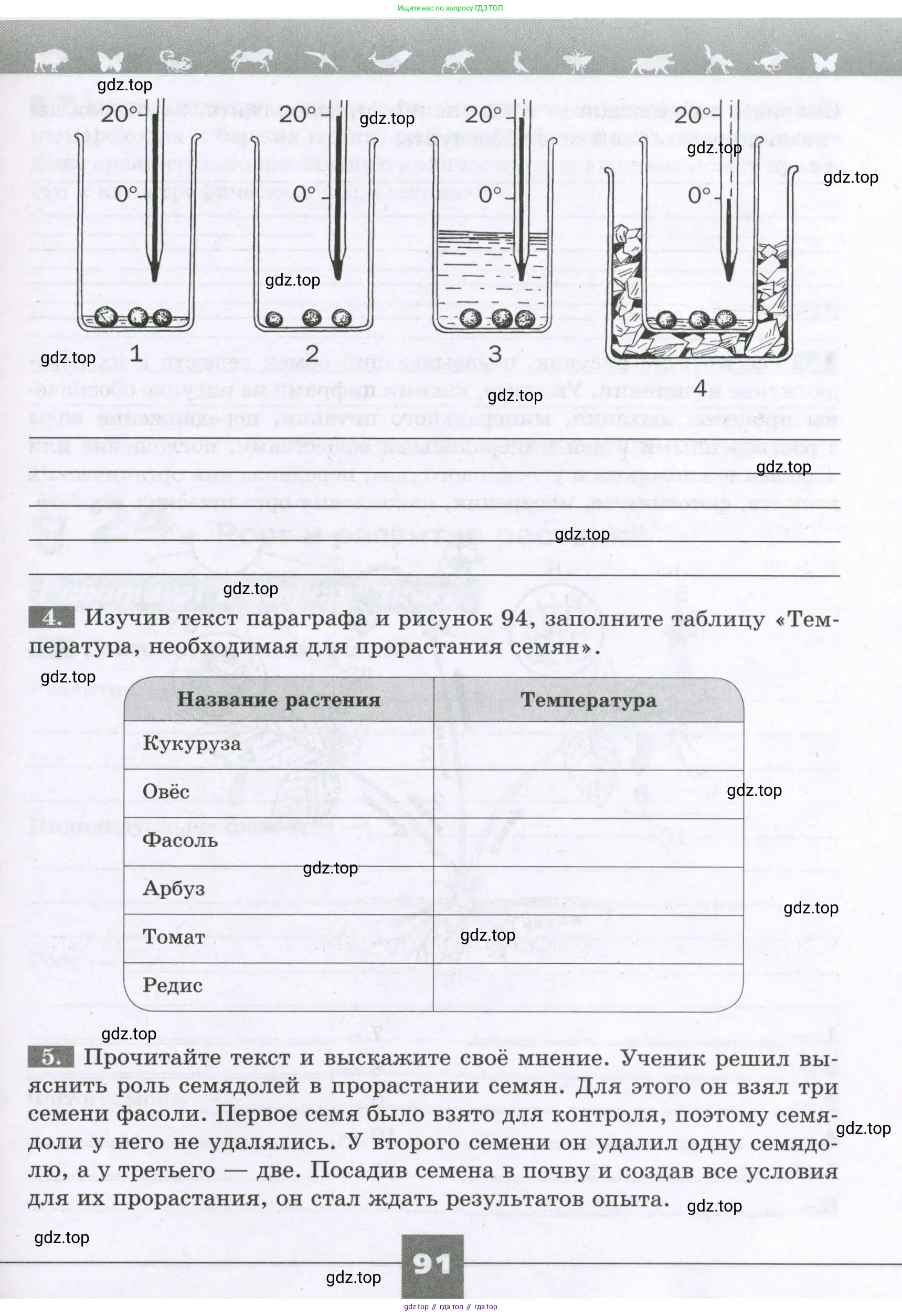 Биология, 6 класс рабочая тетрадь, авторы: Пасечник Владимир Васильевич, Суматохин Сергей Витальевич, Швецов Глеб Геннадьевич, Гапонюк Зоя Георгиевна, Косарькова Марина Викторовна, издательство Просвещение, Москва, 2023, белого цвета, страница 91