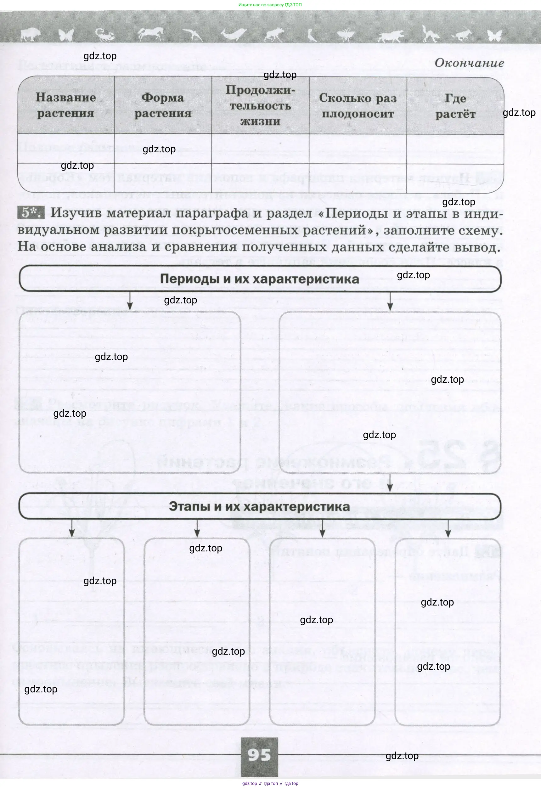 Биология, 6 класс рабочая тетрадь, авторы: Пасечник Владимир Васильевич, Суматохин Сергей Витальевич, Швецов Глеб Геннадьевич, Гапонюк Зоя Георгиевна, Косарькова Марина Викторовна, издательство Просвещение, Москва, 2023, белого цвета, страница 95