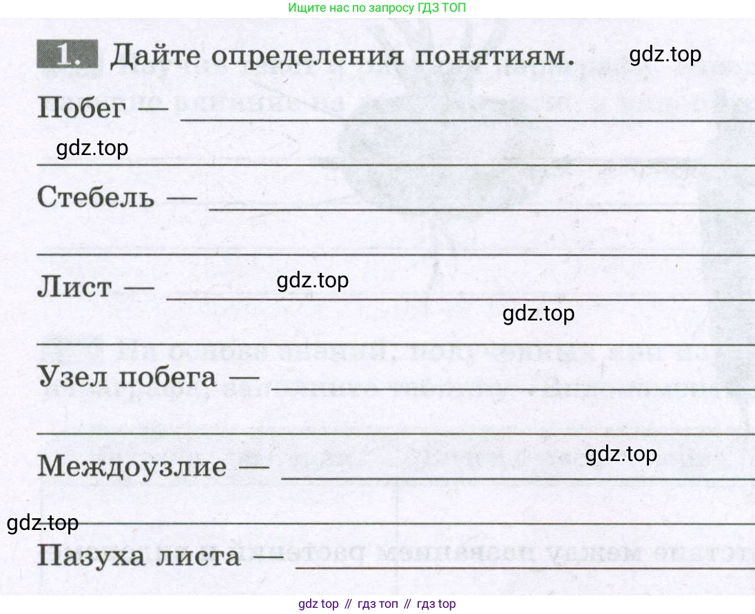ГДЗ Биология, 6 класс рабочая тетрадь, авторы: Пасечник Владимир Васильевич, Суматохин Сергей Витальевич, Швецов Глеб Геннадьевич, Гапонюк Зоя Георгиевна, Косарькова Марина Викторовна, издательство Просвещение, Москва, 2023, белого цвета, страница 42, номер 1, Условие