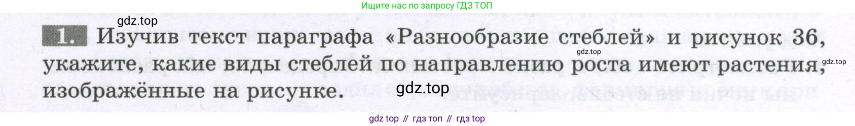 ГДЗ Биология, 6 класс рабочая тетрадь, авторы: Пасечник Владимир Васильевич, Суматохин Сергей Витальевич, Швецов Глеб Геннадьевич, Гапонюк Зоя Георгиевна, Косарькова Марина Викторовна, издательство Просвещение, Москва, 2023, белого цвета, страница 46, номер 1, Условие
