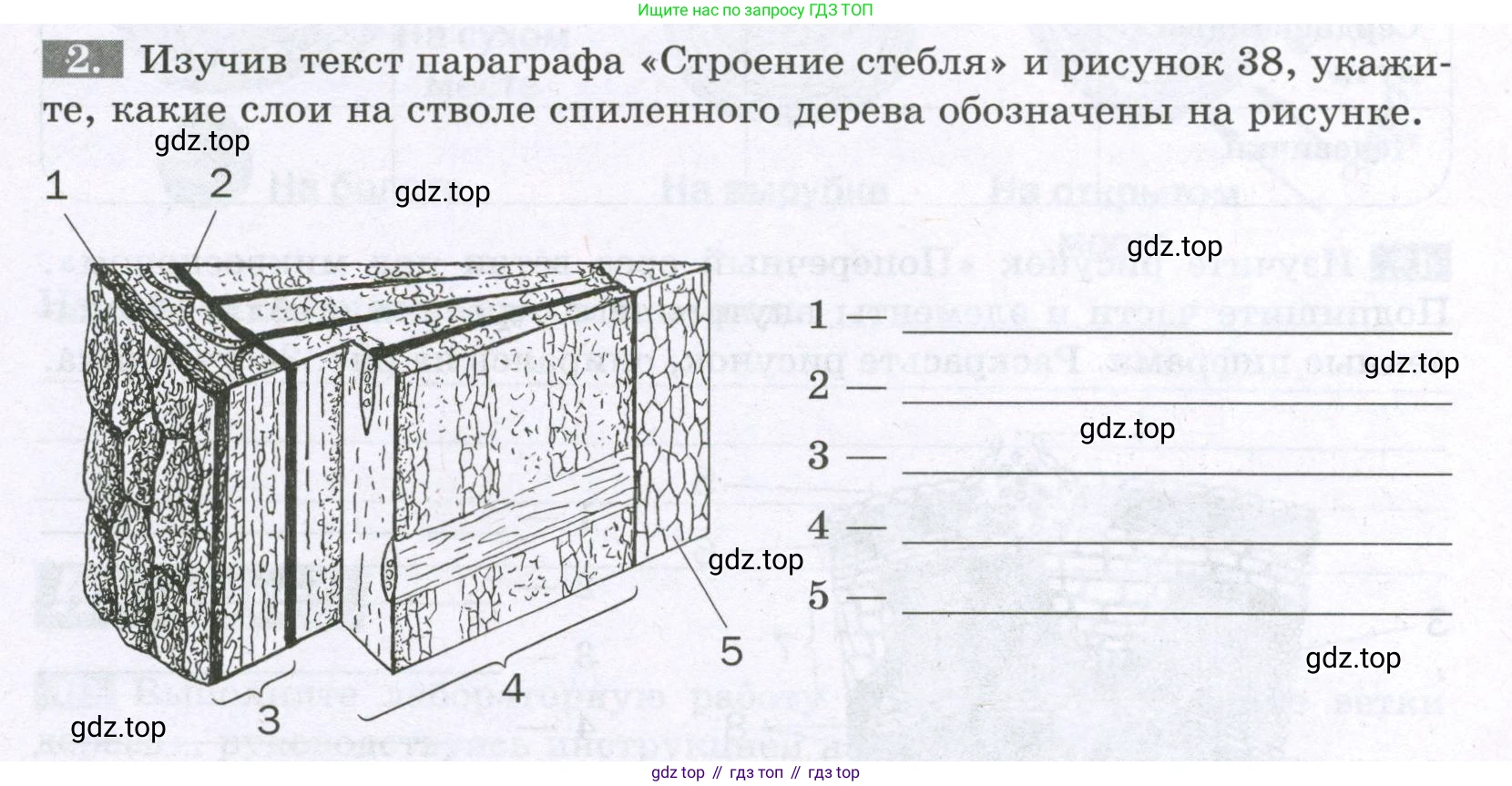 ГДЗ Биология, 6 класс рабочая тетрадь, авторы: Пасечник Владимир Васильевич, Суматохин Сергей Витальевич, Швецов Глеб Геннадьевич, Гапонюк Зоя Георгиевна, Косарькова Марина Викторовна, издательство Просвещение, Москва, 2023, белого цвета, страница 47, номер 2, Условие
