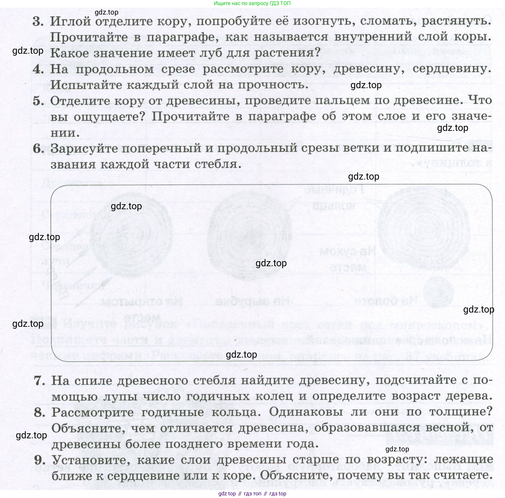 ГДЗ Биология, 6 класс рабочая тетрадь, авторы: Пасечник Владимир Васильевич, Суматохин Сергей Витальевич, Швецов Глеб Геннадьевич, Гапонюк Зоя Георгиевна, Косарькова Марина Викторовна, издательство Просвещение, Москва, 2023, белого цвета, страница 49, номер 6, Условие (продолжение 2)