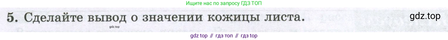 ГДЗ Биология, 6 класс рабочая тетрадь, авторы: Пасечник Владимир Васильевич, Суматохин Сергей Витальевич, Швецов Глеб Геннадьевич, Гапонюк Зоя Георгиевна, Косарькова Марина Викторовна, издательство Просвещение, Москва, 2023, белого цвета, страница 55, номер 8, Условие (продолжение 2)