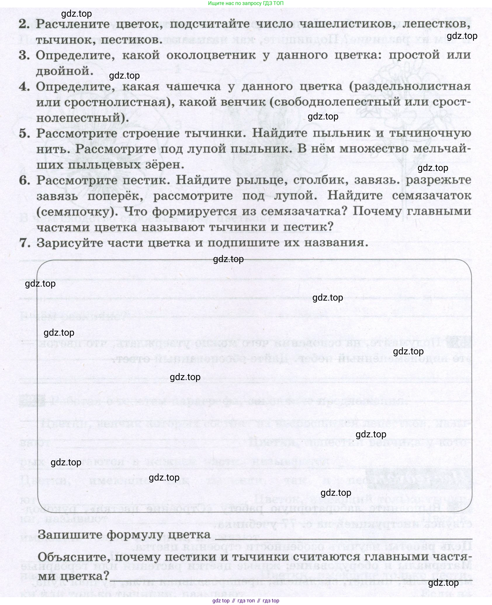 ГДЗ Биология, 6 класс рабочая тетрадь, авторы: Пасечник Владимир Васильевич, Суматохин Сергей Витальевич, Швецов Глеб Геннадьевич, Гапонюк Зоя Георгиевна, Косарькова Марина Викторовна, издательство Просвещение, Москва, 2023, белого цвета, страница 63, номер 6, Условие (продолжение 2)