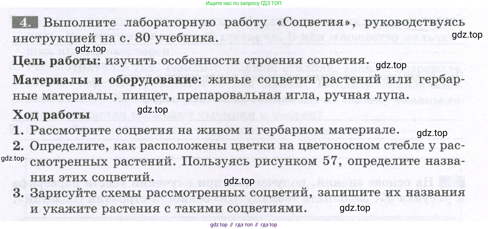 ГДЗ Биология, 6 класс рабочая тетрадь, авторы: Пасечник Владимир Васильевич, Суматохин Сергей Витальевич, Швецов Глеб Геннадьевич, Гапонюк Зоя Георгиевна, Косарькова Марина Викторовна, издательство Просвещение, Москва, 2023, белого цвета, страница 66, номер 4, Условие
