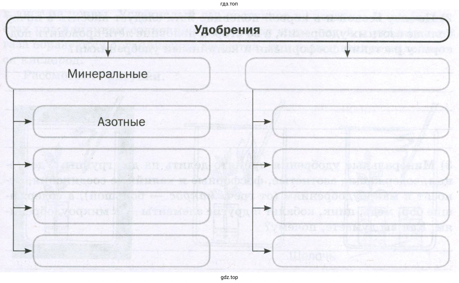 Виды удобрений