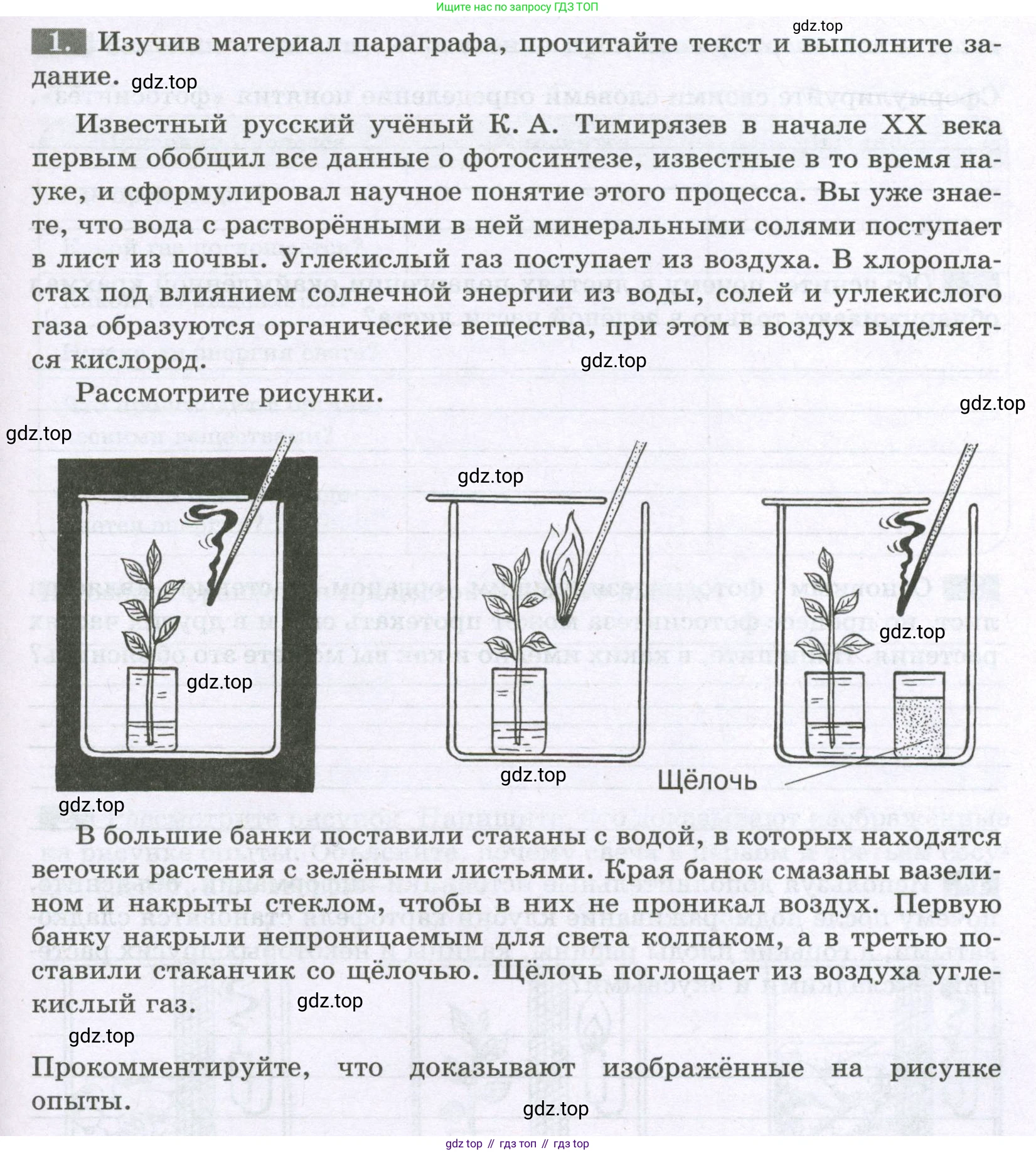 ГДЗ Биология, 6 класс рабочая тетрадь, авторы: Пасечник Владимир Васильевич, Суматохин Сергей Витальевич, Швецов Глеб Геннадьевич, Гапонюк Зоя Георгиевна, Косарькова Марина Викторовна, издательство Просвещение, Москва, 2023, белого цвета, страница 81, номер 1, Условие