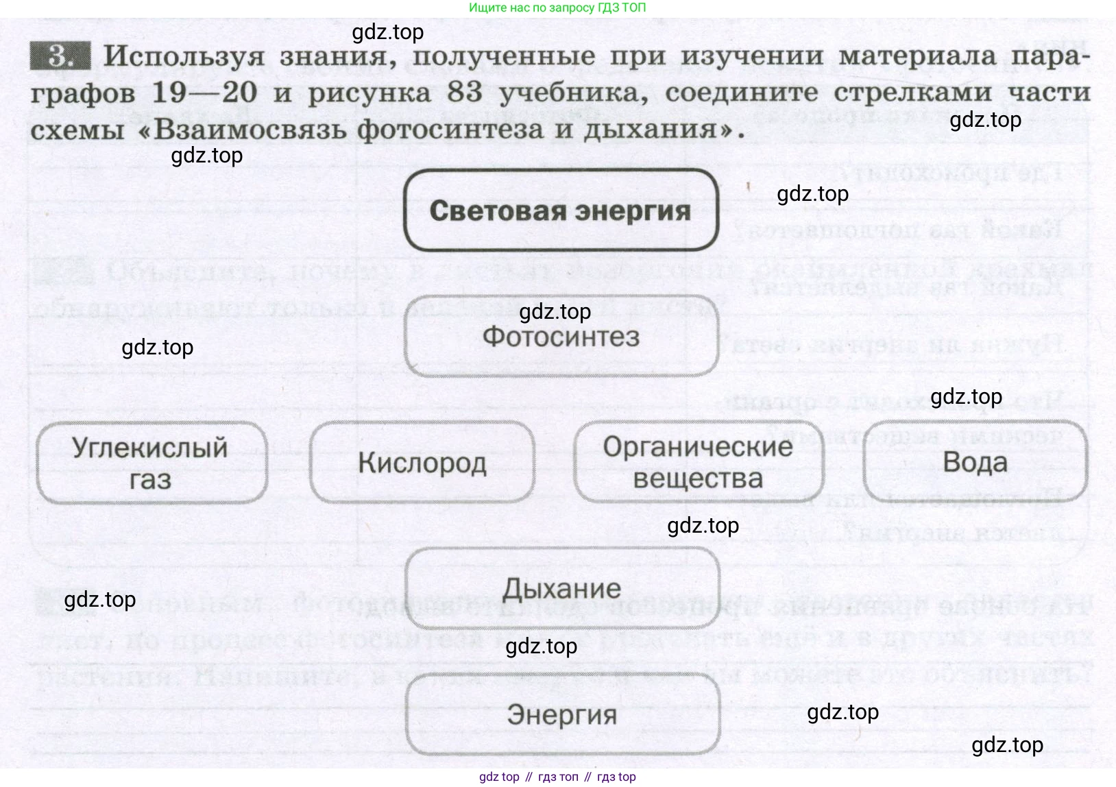 Биология, 6 класс рабочая тетрадь, авторы: Пасечник Владимир Васильевич, Суматохин Сергей Витальевич, Швецов Глеб Геннадьевич, Гапонюк Зоя Георгиевна, Косарькова Марина Викторовна, издательство Просвещение, Москва, 2023, белого цвета, страница 84, номер 3, Условие