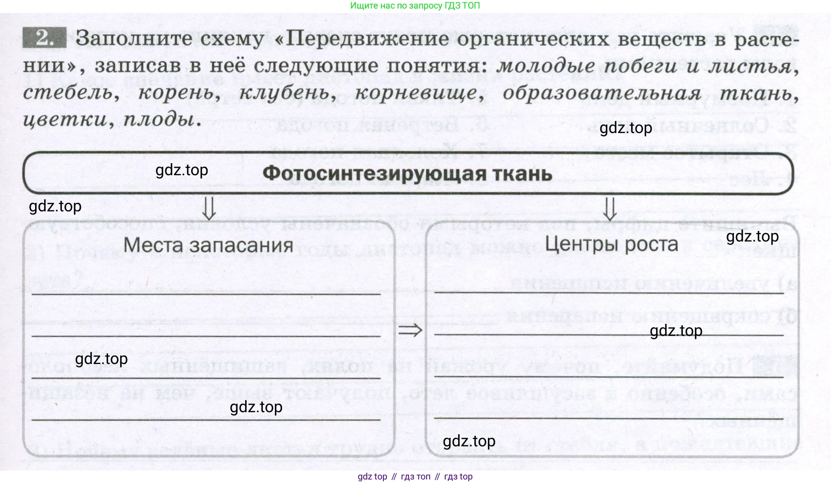 ГДЗ Биология, 6 класс рабочая тетрадь, авторы: Пасечник Владимир Васильевич, Суматохин Сергей Витальевич, Швецов Глеб Геннадьевич, Гапонюк Зоя Георгиевна, Косарькова Марина Викторовна, издательство Просвещение, Москва, 2023, белого цвета, страница 87, номер 2, Условие