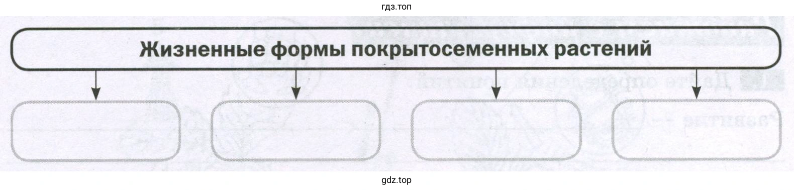 Жизненные формы покрытосеменных растений