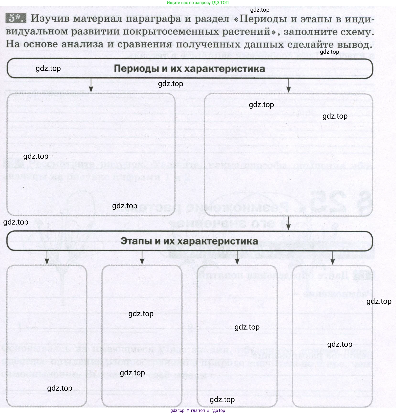 ГДЗ Биология, 6 класс рабочая тетрадь, авторы: Пасечник Владимир Васильевич, Суматохин Сергей Витальевич, Швецов Глеб Геннадьевич, Гапонюк Зоя Георгиевна, Косарькова Марина Викторовна, издательство Просвещение, Москва, 2023, белого цвета, страница 95, номер 5, Условие
