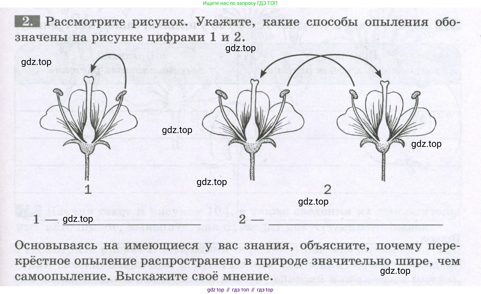 ГДЗ Биология, 6 класс рабочая тетрадь, авторы: Пасечник Владимир Васильевич, Суматохин Сергей Витальевич, Швецов Глеб Геннадьевич, Гапонюк Зоя Георгиевна, Косарькова Марина Викторовна, издательство Просвещение, Москва, 2023, белого цвета, страница 97, номер 2, Условие