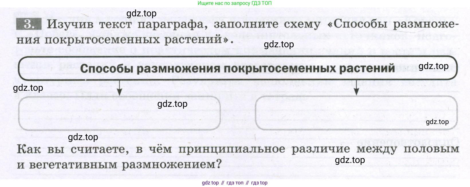 ГДЗ Биология, 6 класс рабочая тетрадь, авторы: Пасечник Владимир Васильевич, Суматохин Сергей Витальевич, Швецов Глеб Геннадьевич, Гапонюк Зоя Георгиевна, Косарькова Марина Викторовна, издательство Просвещение, Москва, 2023, белого цвета, страница 98, номер 3, Условие