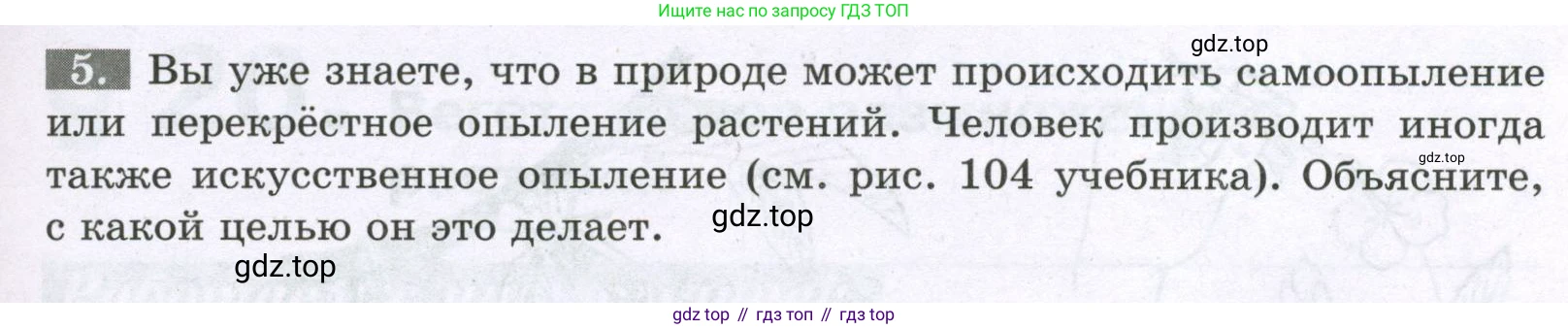 ГДЗ Биология, 6 класс рабочая тетрадь, авторы: Пасечник Владимир Васильевич, Суматохин Сергей Витальевич, Швецов Глеб Геннадьевич, Гапонюк Зоя Георгиевна, Косарькова Марина Викторовна, издательство Просвещение, Москва, 2023, белого цвета, страница 99, номер 5, Условие