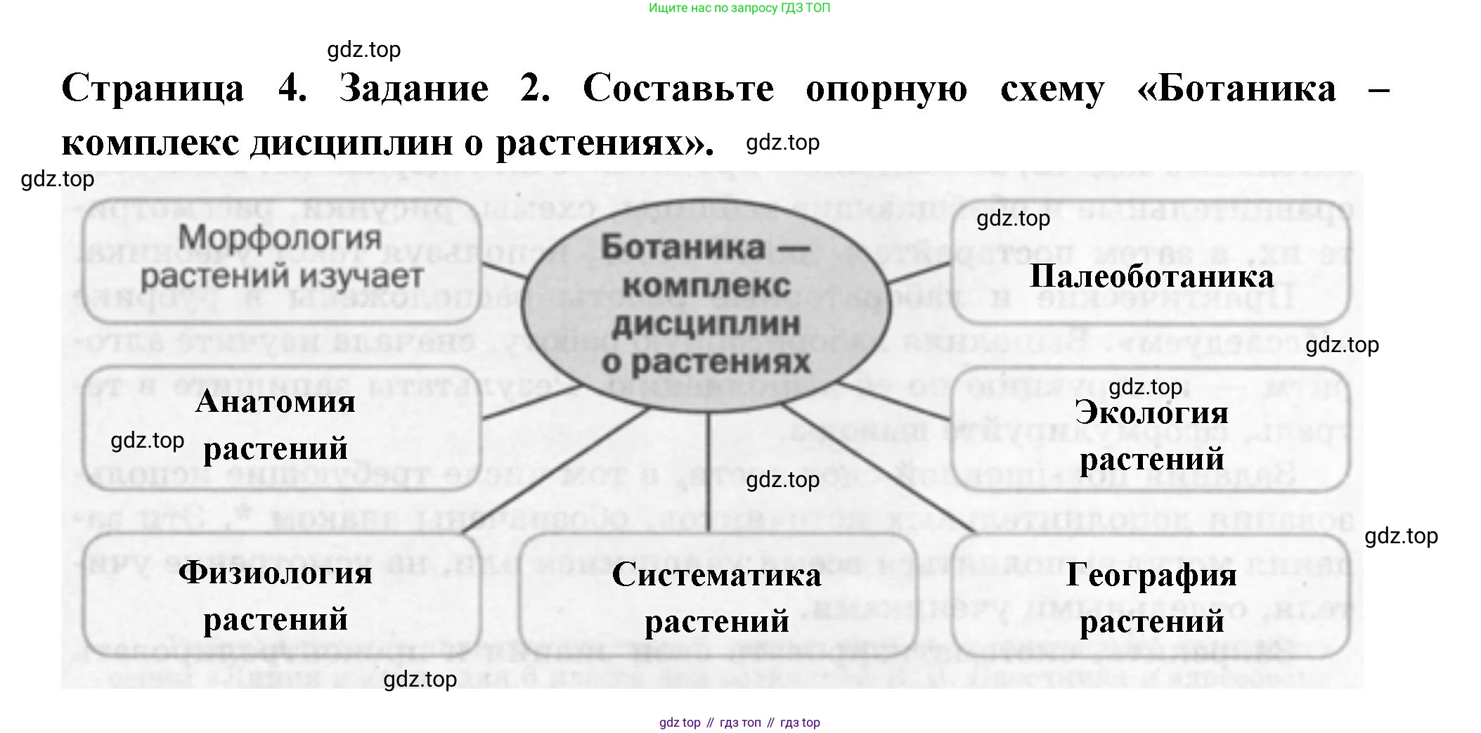 ГДЗ Биология, 6 класс рабочая тетрадь, авторы: Пасечник Владимир Васильевич, Суматохин Сергей Витальевич, Швецов Глеб Геннадьевич, Гапонюк Зоя Георгиевна, Косарькова Марина Викторовна, издательство Просвещение, Москва, 2023, белого цвета, страница 4, номер 2, Решение