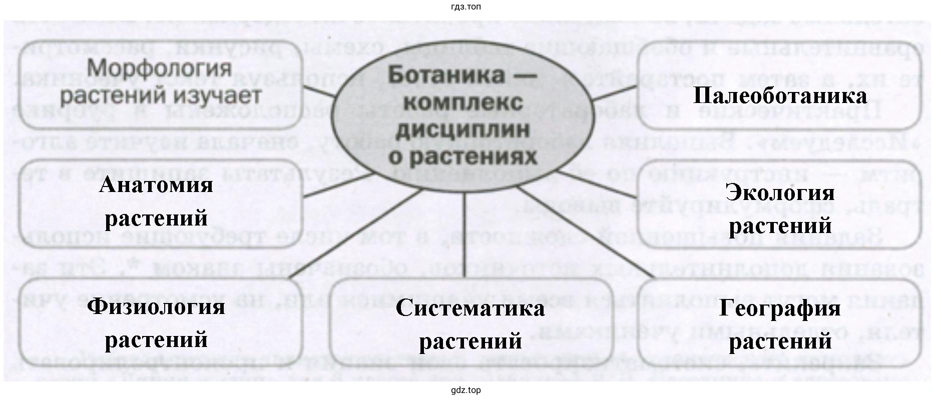 Ботаника – комплекс дисциплин о растениях