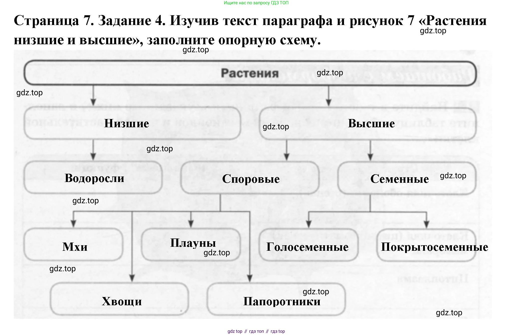 ГДЗ Биология, 6 класс рабочая тетрадь, авторы: Пасечник Владимир Васильевич, Суматохин Сергей Витальевич, Швецов Глеб Геннадьевич, Гапонюк Зоя Георгиевна, Косарькова Марина Викторовна, издательство Просвещение, Москва, 2023, белого цвета, страница 7, номер 4, Решение