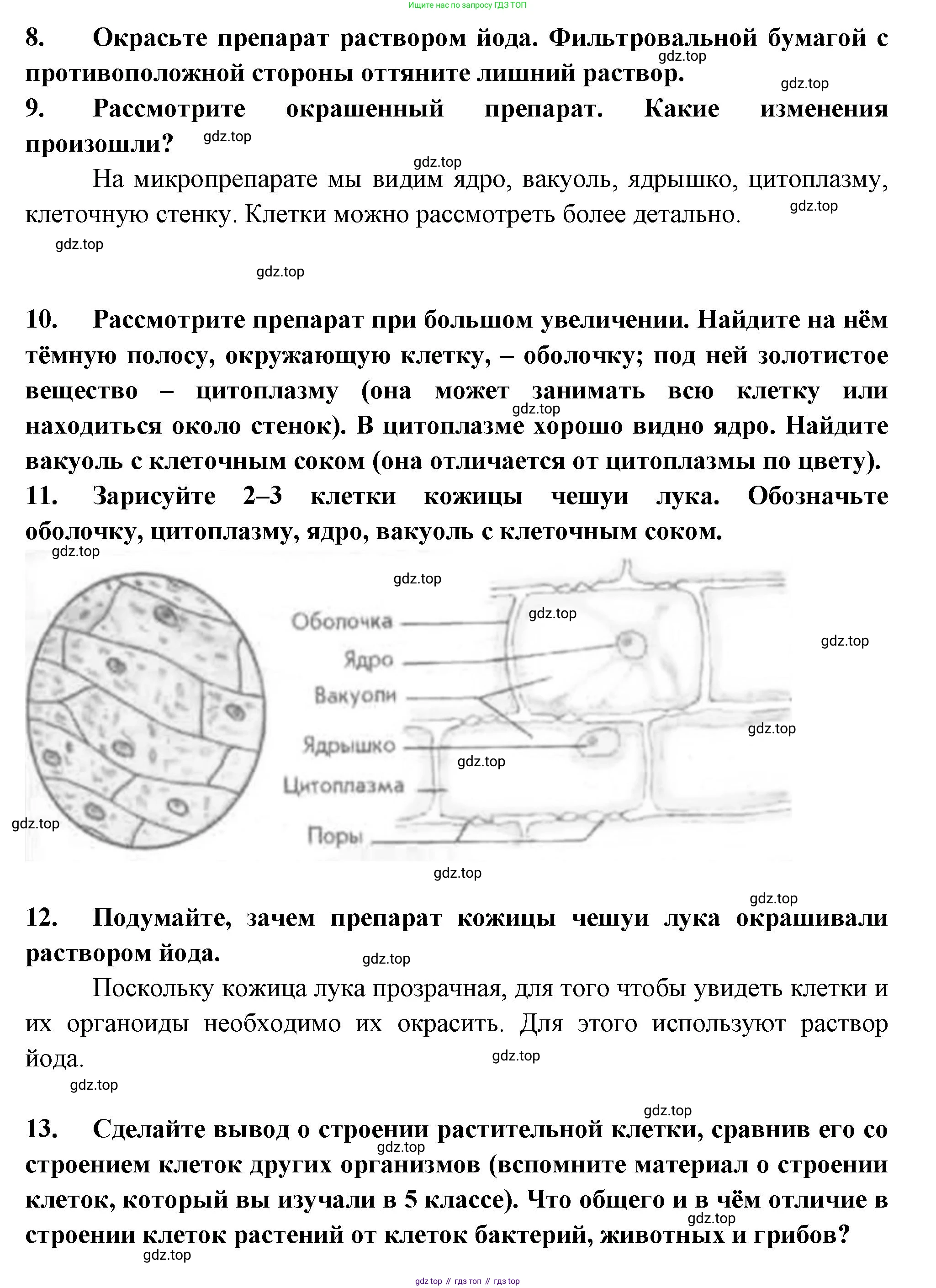 ГДЗ Биология, 6 класс рабочая тетрадь, авторы: Пасечник Владимир Васильевич, Суматохин Сергей Витальевич, Швецов Глеб Геннадьевич, Гапонюк Зоя Георгиевна, Косарькова Марина Викторовна, издательство Просвещение, Москва, 2023, белого цвета, страница 9, номер 4, Решение (продолжение 2)