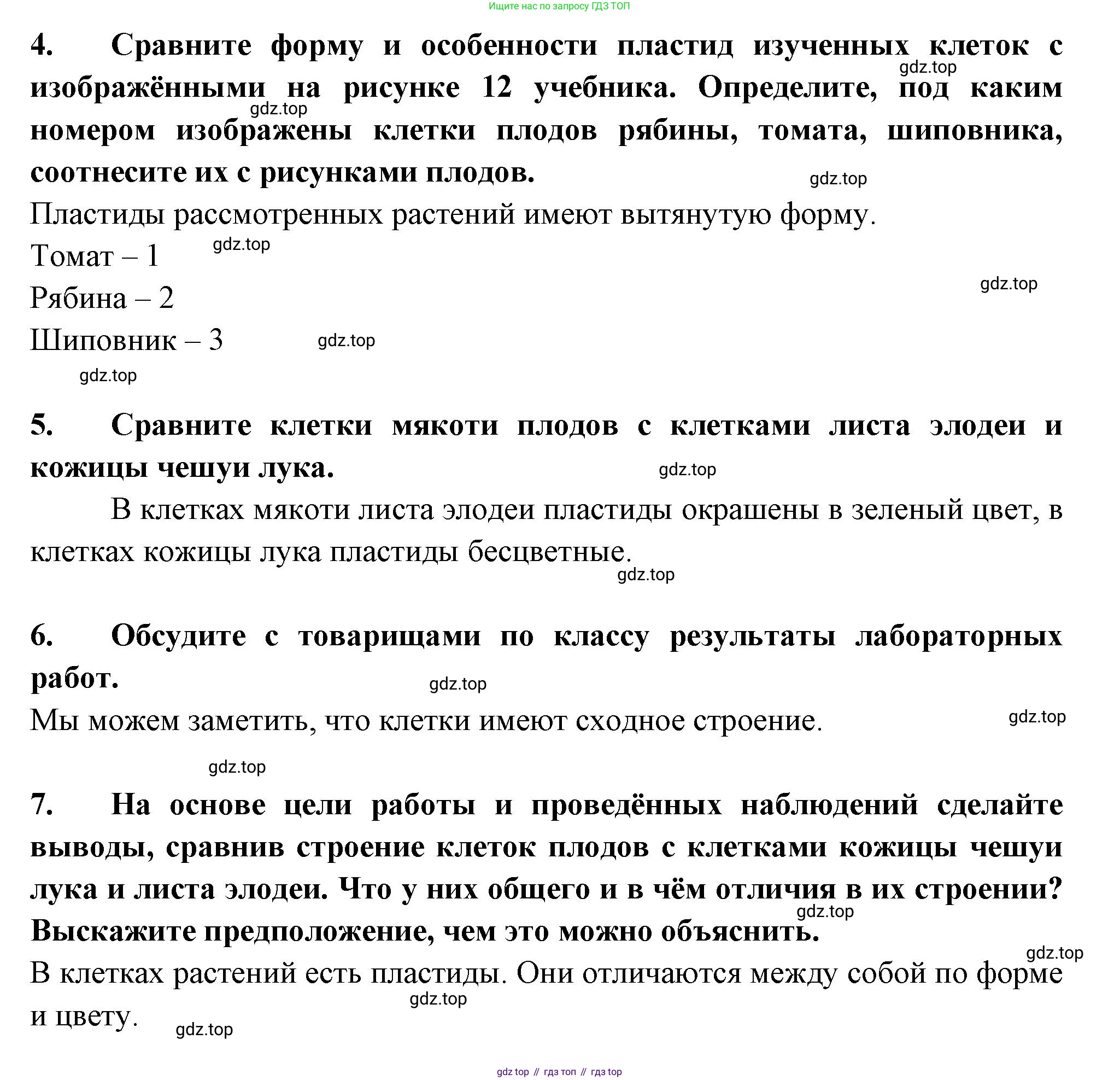 ГДЗ Биология, 6 класс рабочая тетрадь, авторы: Пасечник Владимир Васильевич, Суматохин Сергей Витальевич, Швецов Глеб Геннадьевич, Гапонюк Зоя Георгиевна, Косарькова Марина Викторовна, издательство Просвещение, Москва, 2023, белого цвета, страница 11, номер 5, Решение (продолжение 2)