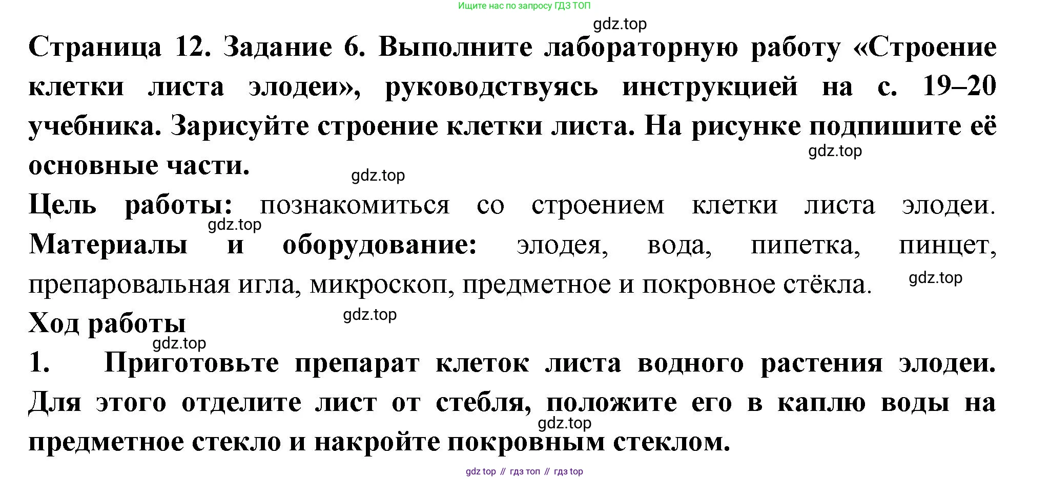 ГДЗ Биология, 6 класс рабочая тетрадь, авторы: Пасечник Владимир Васильевич, Суматохин Сергей Витальевич, Швецов Глеб Геннадьевич, Гапонюк Зоя Георгиевна, Косарькова Марина Викторовна, издательство Просвещение, Москва, 2023, белого цвета, страница 12, номер 6, Решение